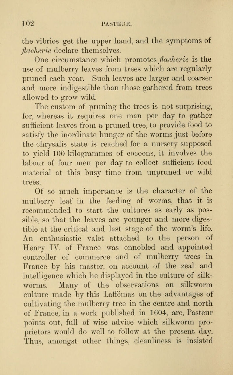 the vibrios get the upper hand, and the symptoms of flacherie declare themselves. One circumstance which promotes/^acAeHe is the use of mulberry leaves from trees which are regularly pruned each year. Such leaves are larger and coarser and more indigestible than those gathered from trees allowed to crrow wild. The custom of pruning the trees is not surprising, for, whereas it requires one man per day to gather sufficient leaves from a pruned tree, to provide food to satisf}^ the inordinate hunger of the worms just before the chrysalis state is reached for a nursery supposed CO yield 100 kilogrammes of cocoons, it involves the labour of foiu' men per day to collect sufficient food material at this busy time from unpruned or wild trees. Of so much importance is the character of the mulberry leaf in the feeding of worms, that it is recommended to start the cultures as early as pos- sible, so that the leaves are younger and more diges- tible at the critical and last stage of the worm's life. An enthusiastic valet attached to the person of Henry IV. of France was ennobled and appointed controller of commerce and of mulberry trees in France by his master, on account of the zeal and intelligence which he displayed in the culture of silk- worms. Many of the observations on silkworm culture made by this Lafifemas on the advantages of cultivating the mulberry tree in the centre and north of France, in a work published in 1604, are, Pasteur points out, full of wise advice which silkworm pro- prietors would do well to follow at the present day. Thus, amongst other things, cleanliness is insisted