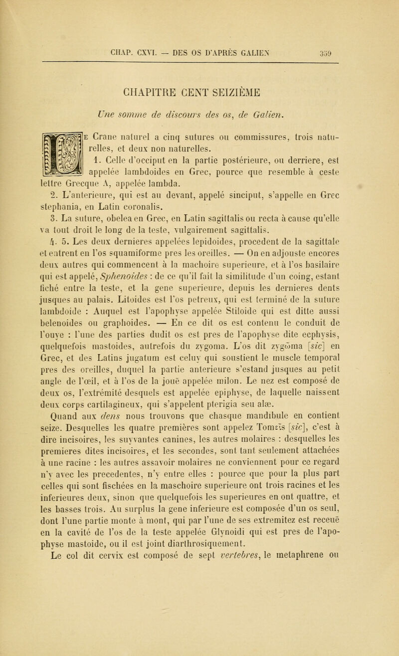 CIIAP. CXVI. — DES OS D'APRÈS GALIEN 300 CHAPITRE CENT SEIZIÈME Une somme de discours des os, de Galien. ^E Craue naturel a cinq sutures ou commissures, trois natu- relles, et deux non naturelles. 1. Celle tFocciput en la partie postérieure, ou derrière, est S appelée larabdoides en Grec, pource que resemble à ceste lettre Grecque A, appelée lambda. 2. L'antérieure, qui est au devant, appelé smciput, s'appelle en Grec Stéphanie, en Latin curonalis. 3. La suture, obeleaen Grec, en Latin sagittalis ou recta à cause qu'elle va tout droit le long de la teste, vulgairement sagittalis. h- 5. Les deux dernières appelées lepidoides, procèdent de la sagittale et entrent en l'os squamiforme près les oreilles. — On en adjouste encores deux autres qui commencent à la mâchoire supérieure, et à l'os basilaire qui est appelé. Sphénoïdes : de ce qu'il fait la similitude d'un coing, estant fiché entre la teste, et la gène supérieure, depuis les dernières dents jusques au palais. Litoides est l'os petreux, qui est terminé de la suture lambdoide : Auquel est l'apophyse appelée Sliloide qui est ditte aussi belenoides ou graphoides. — En ce dit os est contenu le conduit de l'ouye : l'une des parties dudit os est près de l'apophyse dite ecphysis, quelquefois mastoides, autrefois du zygoma. L'os dit zygwma [sic] en Grec, et des Latins jugatum est celuy qui soustient le muscle temporal près des oreilles, duquel la partie antérieure s'estand jusques au petit angle de l'œil, et à l'os de la joue appelée milon. Le nez est composé de deux os, l'extrémité desquels est appelée epiphyse, de laquelle naissent deux corps cartilagineux, qui s'appelent pterigia seu aise. Quand aux dens nous trouvons que chasque mandibule en contient seize. Desquelles les quatre premières sont appelez Tomslls [sic], c'est à dire incisoires, les suyvantes canines, les autres molaires : desquelles les premières dites incisoires, et les secondes, sont tant seulement attachées à une racine : les autres assavoir molaires ne conviennent pour ce regard n'y avec les précédentes, n'y entre elles : pource que pour la plus part celles qui sont fischées en la maschoire supérieure ont trois racines et les inférieures deux, sinon que quelquefois les supérieures en ont quattre, et les basses trois. Au surplus la gène inférieure est composée d'un os seul, dont Tune partie monte à mont, qui par l'une de ses extremitez est receuë en la cavité de l'os de la teste appelée Glynoidi qui est près de l'apo- physe mastoide, ou il est joint diarlhrosiquement. Le col dit cervix est composé de sept vertèbres, le metaplirene ou