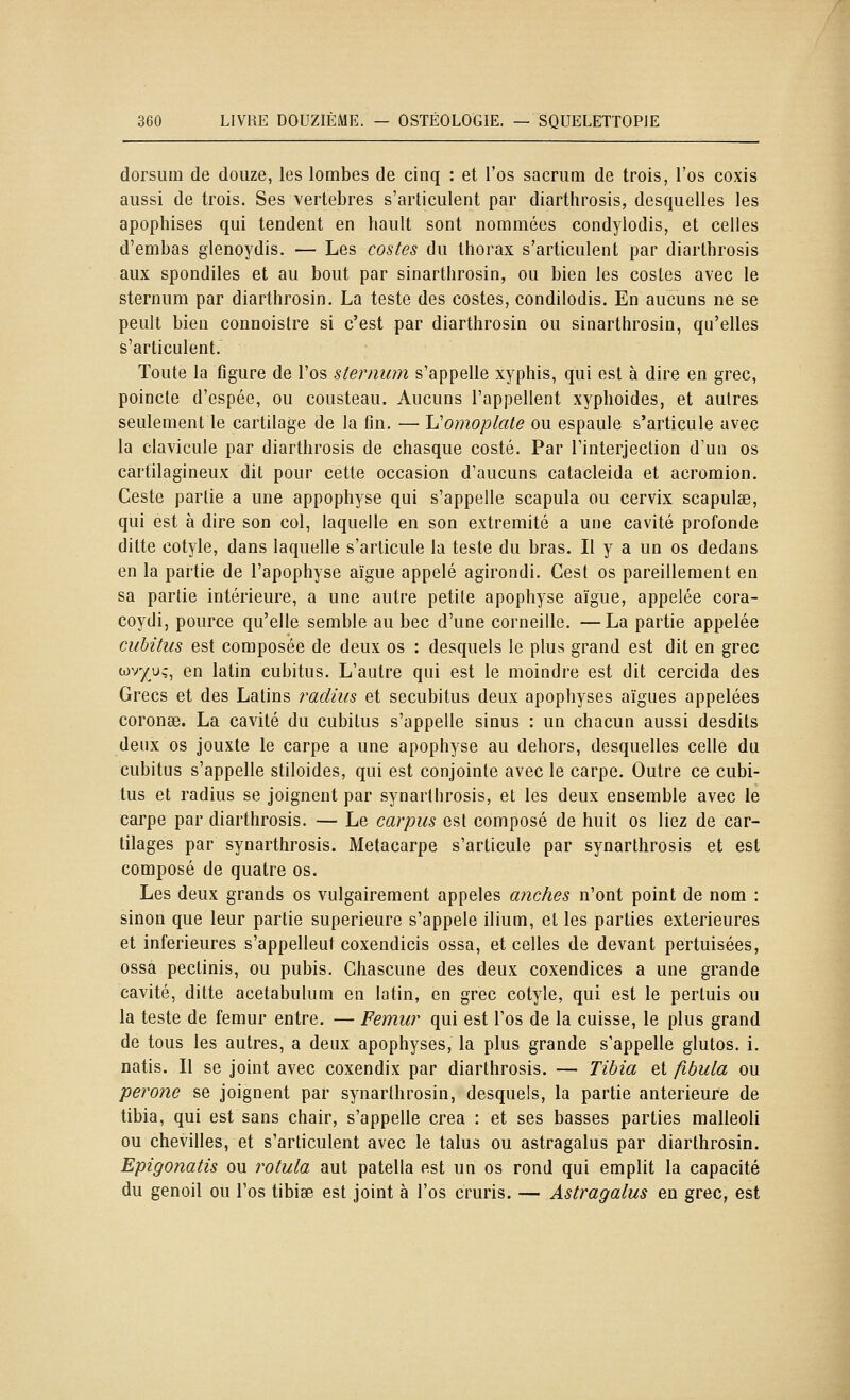 dorsum de douze, les lombes de cinq : et l'os sacrum de trois, l'os coxis aussi de trois. Ses vertèbres s'articulent par diarthrosis, desquelles les apophises qui tendent en hault sont nommées condylodis, et celles d'embas glenoydis. — Les costes du thorax s'articulent par diarthrosis aux spondiles et au bout par sinarthrosin, ou bien les costes avec le sternum par diarthrosin. La teste des costes, condilodis. En aucuns ne se peult bien connoistre si c'est par diarthrosin ou sinarthrosin, qu'elles s'articulent. Toute la figure de l'os sternum s'appelle xyphis, qui est à dire en grec, poincte d'espée, ou Cousteau. Aucuns l'appellent xyphoides, et autres seulement le cartilage de la fin. — Uomoplate ou espaule s'articule avec la clavicule par diarthrosis de chasque costé. Par l'interjeclion d'un os cartilagineux dit pour cette occasion d'aucuns catacleida et acromion. Geste partie a une appophyse qui s'appelle scapula ou cervix scapulse, qui est à dire son col, laquelle en son extrémité a une cavité profonde ditte cotyle, dans laquelle s'articule la teste du bras. Il y a un os dedans en la partie de l'apophyse aïgue appelé agirondi. Cest os pareillement en sa partie intérieure, a une autre petite apophyse aïgue, appelée cora- coydij pource qu'elle semble au bec d'une corneille. —La partie appelée cubitus est composée de deux os : desquels le plus grand est dit en grec wvy;u;, en latin cubitus. L'autre qui est le moindre est dit cercida des Grecs et des Latins radius et secubitus deux apophyses aiguës appelées coronse. La cavité du cubitus s'appelle sinus : un chacun aussi desdits deux os jouxte le carpe a une apophyse au dehors, desquelles celle du cubitus s'appelle stiloides, qui est conjointe avec le carpe. Outre ce cubi- tus et radius se joignent par synarlhrosis, et les deux ensemble avec le carpe par diarthrosis. — Le carpus est composé de huit os liez de car- tilages par synarthrosis. Métacarpe s'articule par synarlhrosis et est composé de quatre os. Les deux grands os vulgairement appelés anches n'ont point de nom : sinon que leur partie supérieure s'appele ilium, et les parties extérieures et inférieures s'appellent coxendicis ossa, et celles de devant pertuisées, ossà pectinis, ou pubis. Chascune des deux coxendices a une grande cavité, ditte acetabulum en latin, en grec cotyle, qui est le pertuis ou la teste de fémur entre. — Fémur qui est l'os de la cuisse, le plus grand de tous les autres, a deux apophyses, la plus grande s'appelle glutos. i. natis. Il se joint avec coxendix par diarthrosis. — Tibia et fibula ou perone se joignent par synarthrosin, desquels, la partie antérieure de tibia, qui est sans chair, s'appelle créa : et ses basses parties malleoli ou chevilles, et s'articulent avec le talus ou astragalus par diarthrosin. Epigonatis ou rotula aut patella est un os rond qui emplit la capacité du genoil ou l'os tibise est joint à l'os cruris. — Astragalus en grec, est