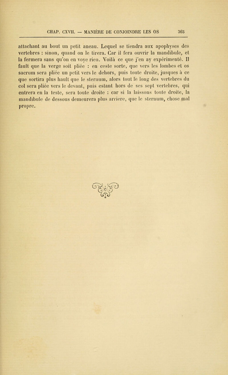 attachant au bout un petit aneau. Lequel se tiendra aux apophyses des vertèbres : sinon, quand on le tirera. Car il fera ouvrir la mandibule, et la fermera sans qu'on en voye rien. Voilà ce que j'en ay expérimenté. Il fault que la verge soit pliée : en ceste sorte, que vers les lombes et os sacrum sera pliée un petit vers le dehors, puis toute droite, jusques à ce que sortira plus hault que le sternum, alors tout le long des vertèbres du col sera pliée vers le devant, puis estant hors de ses sept vertèbres, qui entrera en la teste, sera toute droite : car si la laissons toute droite, la mandibule de dessous demeurera plus arrière, que le sternum, chose mal propre. W