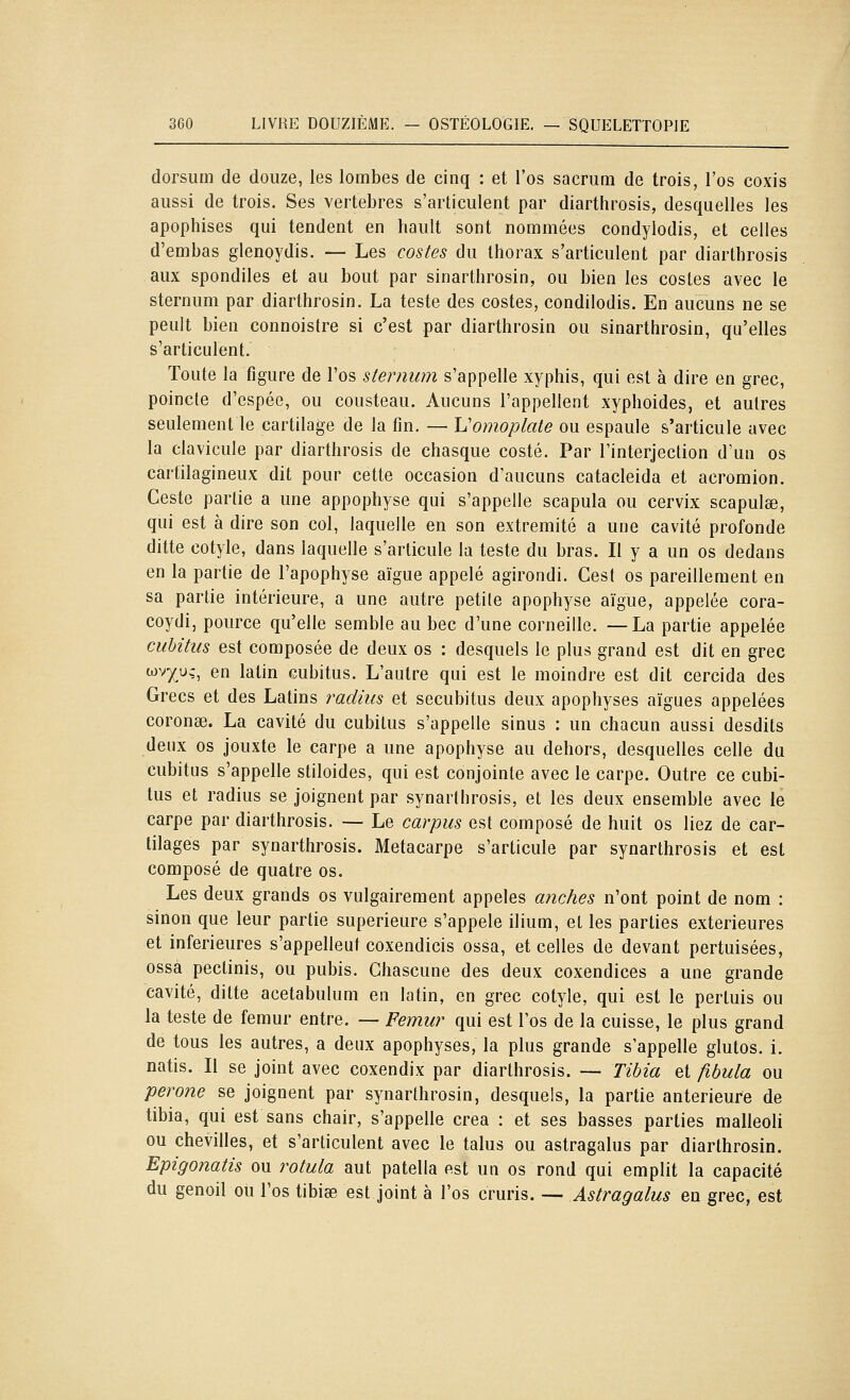 dorsum de douze, les lombes de cinq : et l'os sacrum de trois, l'os coxis aussi de trois. Ses vertèbres s'articulent par diarthrosis, desquelles les apophises qui tendent en hault sont nommées condylodis, et celles d'embas glenoydis. — Les costes du thorax s'articulent par diarthrosis aux spondiles et au bout par sinarthrosin, ou bien les cosles avec le sternum par diarthrosin. La teste des costes, condilodis. En aucuns ne se peult bien connoistre si c'est par diarthrosin ou sinarthrosin, qu'elles s'articulent. Toute la figure de l'os sternum s'appelle xyphis, qui est à dire en grec, poincle d'espée, ou cousteau. Aucuns l'appellent xyphoides, et autres seulement le cartilage de la fin. — h'omoplate ou espaule s'articule avec la clavicule par diarthrosis de chasque costé. Par l'interjection d'un os cartilagineux dit pour cette occasion d'aucuns catacleida et acromion. Geste partie a une appophyse qui s'appelle scapula ou cervix scapulse, qui est à dire son col, laquelle en son extrémité a une cavité profonde ditte cotyle, dans laquelle s'articule la teste du bras. Il y a un os dedans en la partie de l'apophyse aïgue appelé agirondi. Cest os pareillement en sa partie intérieure, a une autre petite apophyse aïgue, appelée cora- coydi, pource qu'elle semble au bec d'une corneille. —La partie appelée cubitus est composée de deux os : desquels le plus grand est dit en grec wv;)(;u>;, en latin cubitus. L'autre qui est le moindre est dit cercida des Grecs et des Latins radius et secubitus deux apophyses aïgues appelées coronse. La cavité du cubitus s'appelle sinus : un chacun aussi desdits deux os jouxte le carpe a une apophyse au dehors, desquelles celle du cubitus s'appelle stiloides, qui est conjointe avec le carpe. Outre ce cubi- tus et radius se joignent par synarthrosis, et les deux ensemble avec le carpe par diarthrosis. — Le carpus est composé de huit os liez de car- tilages par synarthrosis. Métacarpe s'articule par synarthrosis et est composé de quatre os. Les deux grands os vulgairement appelés anches n'ont point de nom : sinon que leur partie supérieure s'appele ilium, et les parties extérieures et inférieures s'appelleut coxendicis ossa, et celles de devant pertuisées, ossà pectinis, ou pubis. Chascune des deux coxendices a une grande cavité, ditte acetabulum en latin, en grec cotyle, qui est le pertuis ou la teste de fémur entre. — Fémur qui est l'os de la cuisse, le plus grand de tous les autres, a deux apophyses, la plus grande s'appelle glutos. i. natis. Il se joint avec coxendix par diarthrosis. — Tibia ^i fibula ou perone se joignent par synarthrosin, desquels, la partie antérieure de tibia, qui est sans chair, s'appelle créa : et ses basses parties malleoli ou chevilles, et s'articulent avec le talus ou astragalus par diarthrosin. Epigonatis ou rotula aut patella est un os rond qui emplit la capacité du genoil ou l'os tibise est joint à l'os cruris. — Astragalus en grec, est
