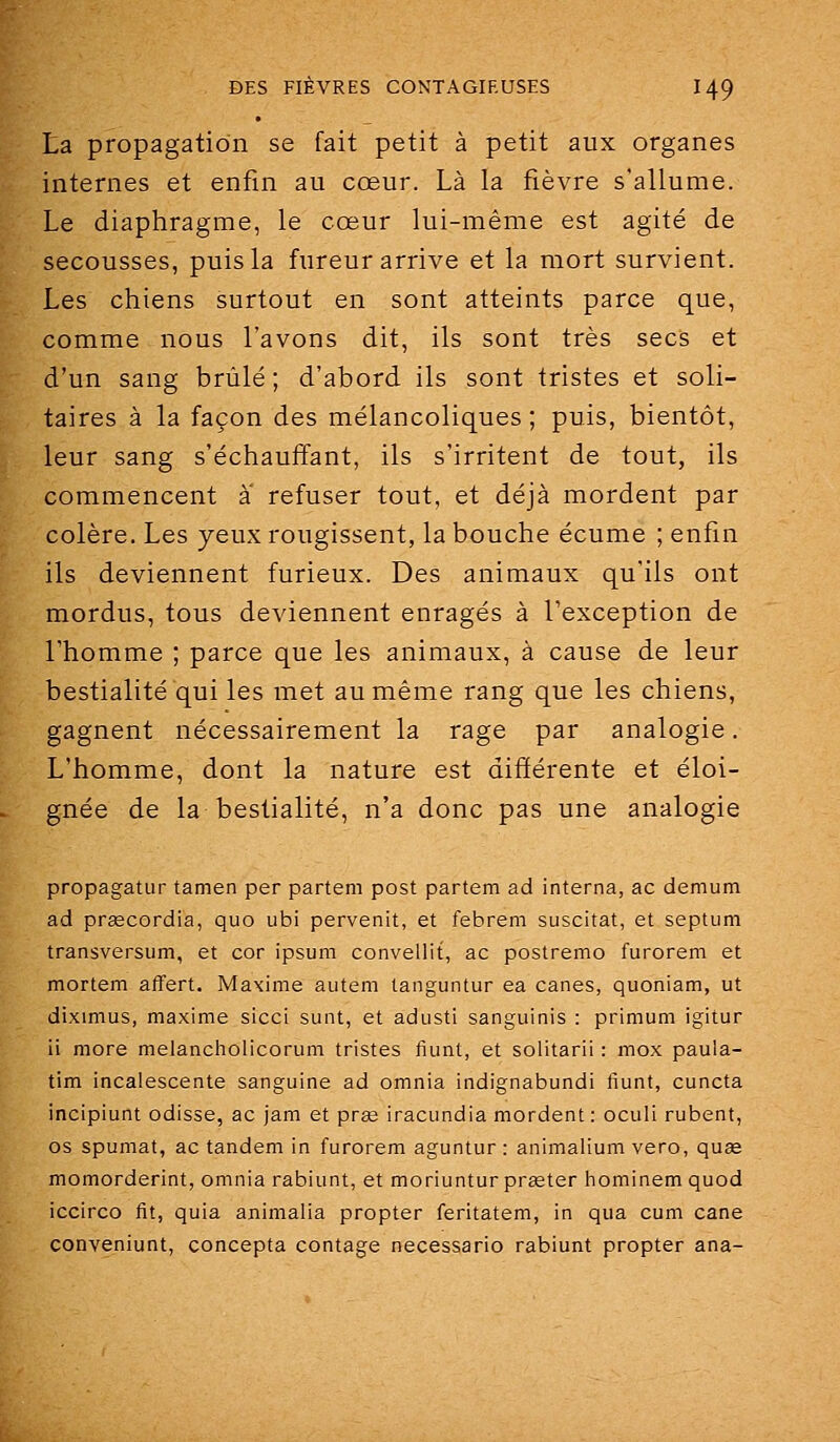 La propagation se fait petit à petit aux organes internes et enfin au cœur. Là la fièvre s'allume. Le diaphragme, le cœur lui-même est agité de secousses, puis la fureur arrive et la mort survient. Les chiens surtout en sont atteints parce que, comme nous l'avons dit, ils sont très secs et d'un sang brûlé ; d'abord ils sont tristes et soli- taires à la façon des mélancoliques ; puis, bientôt, leur sang s'échauffant, ils s'irritent de tout, ils commencent à refuser tout, et déjà mordent par colère. Les yeux rougissent, la bouche écume ; enfin ils deviennent furieux. Des animaux qu'ils ont mordus, tous deviennent enragés à l'exception de l'homme ; parce que les animaux, à cause de leur bestialité qui les met au même rang que les chiens, gagnent nécessairement la rage par analogie. L'homme, dont la nature est différente et éloi- gnée de la bestialité, n'a donc pas une analogie propagatur tamen per partem post partem ad interna, ac demum ad prsecordia, quo ubi pervenit, et febrem suscitât, et septum transversum, et cor ipsum convellit, ac postremo furorem et mortem affert. Maxime autem tanguntur ea canes, quoniam, ut diximus, maxime sicci sunt, et adusti sanguinis : primum igitur ii more melancholicorum tristes fiunt, et solitarii : mox paula- tim incalescente sanguine ad omnia indignabundi fiunt, cuncta incipiunt odisse, ac jam et prœ iracundia mordent : oculi rubent, os spumat, ac tandem in furorem aguntur : animalium vero, quae momorderint, omnia rabiunt, et moriuntur prœter hominem quod iccirco fit, quia animalia propter feritatem, in qua cum cane conveniunt, concepta contage necessario rabiunt propter ana-