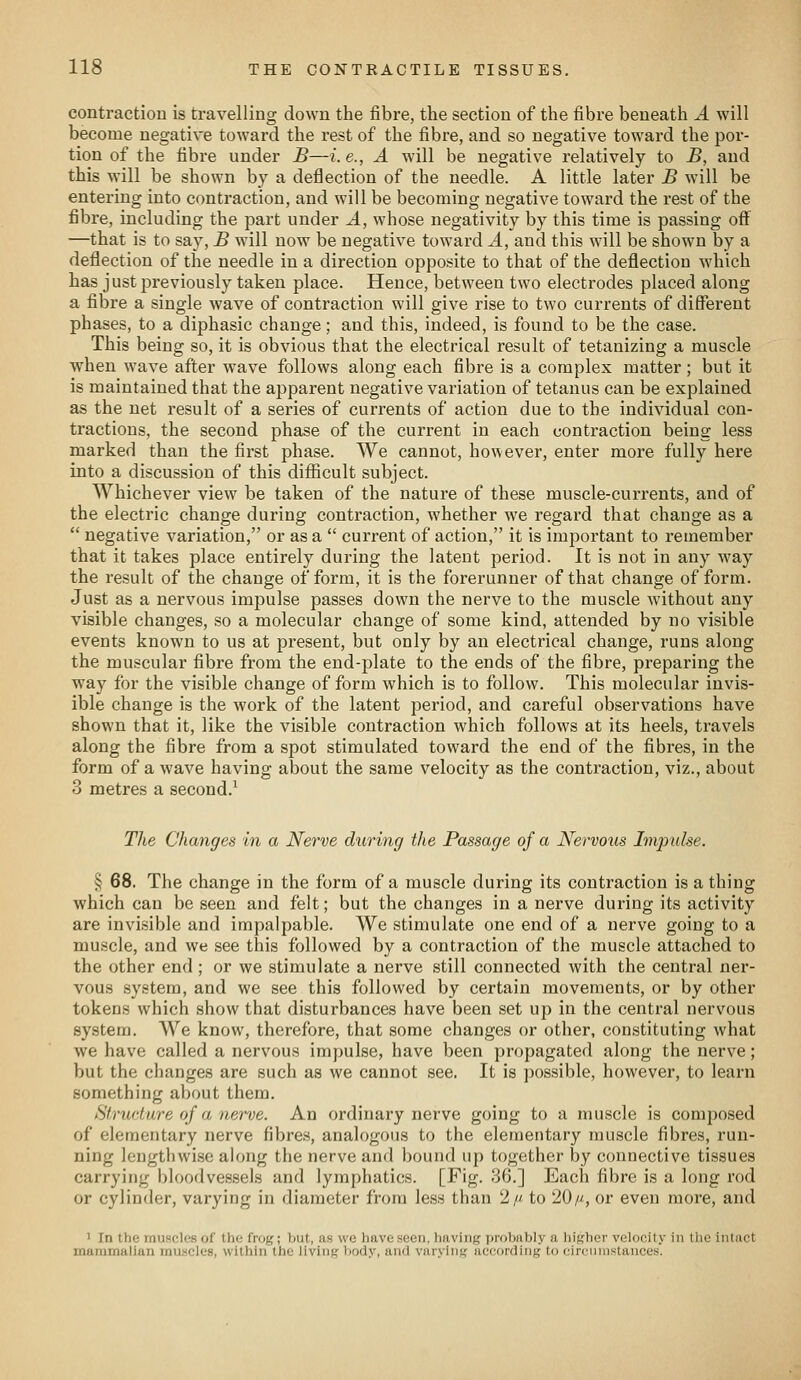 contraction is travelling down the fibre, the section of the fibre beneath A will become negative toward the rest of the fibre, and so negative toward the por- tion of the fibre under B—i. e., A will be negative relatively to B, and this will be shown by a deflection of the needle. A little later B will be entering into contraction, and will be becoming negative toward the rest of the fibre, including the part under A, whose negativity by this time is passing off —that is to say, B will now be negative toward A, and this will be shown by a deflection of the needle in a direction opposite to that of the deflection which has just previously taken place. Hence, between two electrodes placed along a fibre a single wave of contraction will give rise to two currents of difl^erent phases, to a diphasic change; and this, indeed, is found to be the case. This being so, it is obvious that the electrical result of tetanizing a muscle when wave after wave follows along each fibre is a complex matter; but it is maintained that the apparent negative variation of tetanus can be explained as the net result of a series of currents of action due to the individual con- tractions, the second phase of the current in each contraction being less marked than the first phase. We cannot, however, enter more fully here into a discussion of this difficult subject. Whichever view be taken of the nature of these muscle-currents, and of the electric change during contraction, whether we regard that change as a  negative variation, or as a  current of action, it is important to remember that it takes place entirely during the latent period. It is not in any way the result of the change of form, it is the forerunner of that change of form. Just as a nervous impulse passes down the nerve to the muscle without any visible changes, so a molecular change of some kind, attended by no visible events known to us at present, but only by an electrical change, runs along the muscular fibre from the end-plate to the ends of the fibre, preparing the way for the visible change of form which is to follow. This molecular invis- ible change is the work of the latent period, and careful observations have shown that it, like the visible contraction which follows at its heels, travels along the fibre from a spot stimulated toward the end of the fibres, in the form of a wave having about the same velocity as the contraction, viz., about 3 metres a second.' The Changes in a Nerve during the Passage of a Nervous Impulse. § 68. The change in the form of a muscle during its contraction is a thing which can be seen and felt; but the changes in a nerve during its activity are invisible and impalpable. We stimulate one end of a nerve going to a muscle, and we see this followed by a contraction of the muscle attached to the other end ; or we stimulate a nerve still connected with the central ner- vous system, and we see this followed by certain movements, or by other tokens which show that disturbances have been set up in the central nervous system. We know, therefore, that some changes or other, constituting what we have called a nervous impulse, have been propagated along the nerve; but the changes are such as we cannot see. It is possible, however, to learn something about them. Structure of a nerve. An ordinary nerve going to a muscle is composed of elementary nerve fibres, analogous to the elementary muscle fibres, run- ning lengthwise along the nerve and bound up together by connective tissues carrying bloodvessels and lymphatics. [Fig. 86.] Each fibre is a long rod or cylinder, varying in diameter from less than 2/^ to 20/i, or even moi'e, and 1 In the muscles of the frog; but, as we have seen, having probably a higher velocity in tlie intact maramalian muscles, within the living body, and varying according to circumstances.