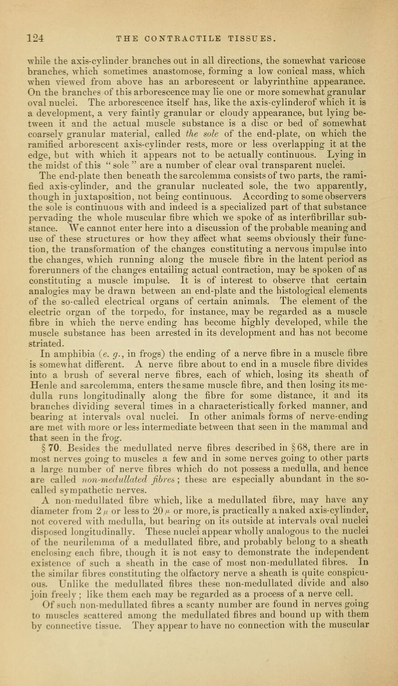 vrhile the axis-cylinder branches out in all directions, the somewhat varicose branches, which sometimes anastomose, forming a low conical mass, which when viewed from above has an arborescent or labyrinthine appearance. On the branches of this arborescence may lie one or more somewhat granular oval nuclei. The arborescence itself has, like the axis-cylinderof which it is a development, a very faintly granular or cloudy appearance, but lying be- tween it and the actual muscle substance is a disc or bed of somewhat coarsely granular material, called the sole of the end-plate, on which the ramified arborescent axis-cylinder rests, more or less overlapping it at the edge, but with which it appears not to be actually continuous. Lying in the midst of this  sole  are a number of clear oval transparent nitclei. The end-plate then beneath thesarcolemma consists of two parts, the rami- fied axis-cylinder, and the granular nucleated sole, the two apparently, though in juxtaposition, not being continuous. According to some observers the sole is continuous with and indeed is a specialized part of that substance pervading the whole muscular fibre which we spoke of as interfibrillar sub- stance. We cannot enter here into a discussion of the probable meaning and use of these structures or how they aifect what seems obviously their func- tion, the transformation of the changes constituting a nervous impulse into the changes, which running along the muscle fibre in the latent period as forerunners of the changes entailing actual contraction, may be spoken of as constituting a muscle impulse. It is of interest to observe that certain analogies may be drawn between an end-plate and the histological elements of the so-called electrical organs of certain animals. The element of the electric organ of the torpedo, for instance, may be regarded as a muscle fibre in which the nerve ending has become highly developed, while the muscle substance has been arrested in its development and has not become striated. In amphibia (e. g., in frogs) the ending of a nerve fibre in a muscle fibre is somewhat different. A nerve fibre about to end in a muscle fibre divides into a brush of several nerve fibres, each of which, losing its sheath of Henle and sarcolemma, enters the same muscle fibre, and then losing its me- dulla runs longitudinally along the fibre for some distance, it and its branches dividing several times in a characteristically forked manner, and bearing at intervals oval nuclei. In other animals forms of nerve-ending are met with more or less intermediate between that seen in the mammal and that seen in the frog. §70. Besides the medullated nerve fibres described in i^68, there are in most nerves going to muscles a few and in some nerves going to other parts a large number of nerve fibres which do not possess a medulla, and hence are called non-meclullated fibres; these are especially abundant in the so- called sympathetic nerves. A non-medullated fibre which, like a medullated fibre, may have any diameter from 2// or less to 20/^ or more, is practically a naked axis-cylinder, not covered with medulla, but bearing on its outside at intervals oval nuclei disposed longitudinally. These nuclei appear wholly analogous to the nuclei of the neurilemma of a medullated fibre, and probably belong to a sheath enclosing each fibre, though it is not easy to demonstrate the independent existence of such a sheath in the case of most non-medullated fibres. In the similar fibres constituting the olfactory nerve a sheath is quite conspicu- ous. Unlike the medullated fibres these non-medullated divide and also join freely ; like them each may be regarded as a process of a nerve cell. Of such non-medullated fibres a scanty number are found in nerves going to muscles scattered among the medullated fibres and bound up with them by connective tissue. They appear to have no connection with the muscular