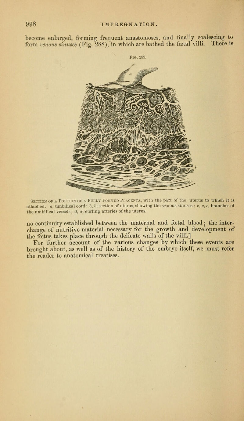 become enlarged, forming frequent anastomoses, and finally coalescing to form venous sinmes (Fig. 288), in which are bathed the foetal villi. There is Fig. 28S. Section of a Portion of a Fully Fokmed Placenta, witli the part of the uterus to which it is attached, a, umbilical cord; 6, 6, section of uterus, showing the venous sinuses ; c, e, c, branches of the umbilical vessels; d, d, curling arteries of the uterus. no continuity established between the maternal and foetal blood; the inter- change of nutritive material necessary for the growth and development of the foetus takes place through the delicate walls of the villi.] For further account of the various changes by which these events are brought about, as well as of the history of the embryo itself, we must refer the reader to anatomical treatises.