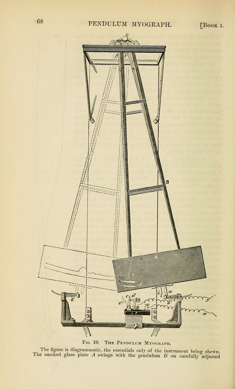 PENDULUM MYOGEAPH. [Book i. Fig 10. The Pendulum Myograph. The figure is diagrammatic, the essentials onlv of the instrument being shewn The smoked glass plate A swings with the pendulum B on carefully adjusted