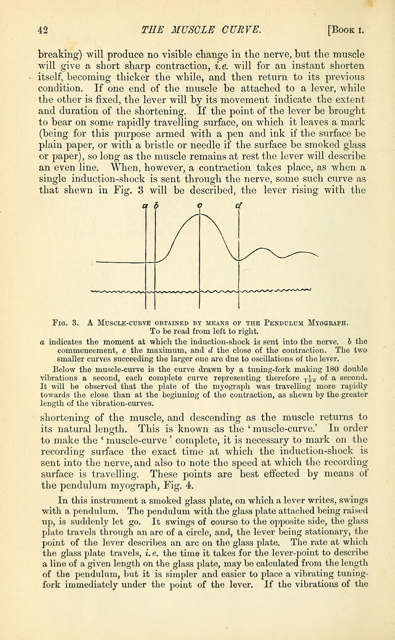 breaking) will produce no visible change in the nerve, but the muscle will give a short sharp contraction, i.e. will for an instant shorten itself, becoming thicker the while, and then return to its previous condition. If one end of the muscle be attached to a lever, while the other is fixed, the lever will by its movement indicate the extent and duration of the shortening. If the point of the lever be brought to bear on some rapidly travelling surface, on which it leaves a mark (being for this purpose armed with a pen and ink if the surface be plain paper, or with a bristle or needle if the surface be smoked glass or paper), so long as the muscle remains at rest the lever will describe an even line. When, however, a contraction takes place, as when a single induction-shock is sent through the nerve, some such curve as that shewn in Fig. 3 will be described, the lever rising with the Fig. 3. A Muscle-cukye obtained by means of the Pendulum Myograph. To be read from left to right. a indicates the moment at which the induction-shock is sent into the nerve, b the commencement, c the maximum, and d the close of the contraction. The two smaller curves succeeding the larger one are due to oscillations of the lever. Below the muscle-curve is the curve drawn by a tuning-fork making 180 double vibrations a second, each complete curve representing therefore -j-^ of a second. It will be observed that the plate of the myograph was travelling more rapidly towards the close than at the beginning of the contraction, as shewn by the greater length of the vibration-curves. shortening of the muscle, and descending as the muscle returns to its natural length. This is known as the ' muscle-curve.' In order to make the ' muscle-curve ' complete, it is necessary to mark on the recording surface the exact time at which the induction-shock is sent into the nerve, and also to note the speed at which the recording surface is travelling. These points are best effected by means of the pendulum myograph, Fig. 4. In this instrument a smoked glass plate, on which a lever writes, swings with a pendulum. The pendulum with the glass plate attached being raised up, is suddenly let go. It swings of course to the opposite side, the glass plate travels through an arc of a circle, and, the lever being stationary, the point of the lever describes an arc on the glass plate. The rate at which the glass plate travels, i. e. the time it takes for the lever-point to describe a line of a given length on the glass plate, may be calculated from the length of the pendulum, but it is simpler and easier to place a vibrating tuning- fork immediately under the point of the lever. If the vibrations of the