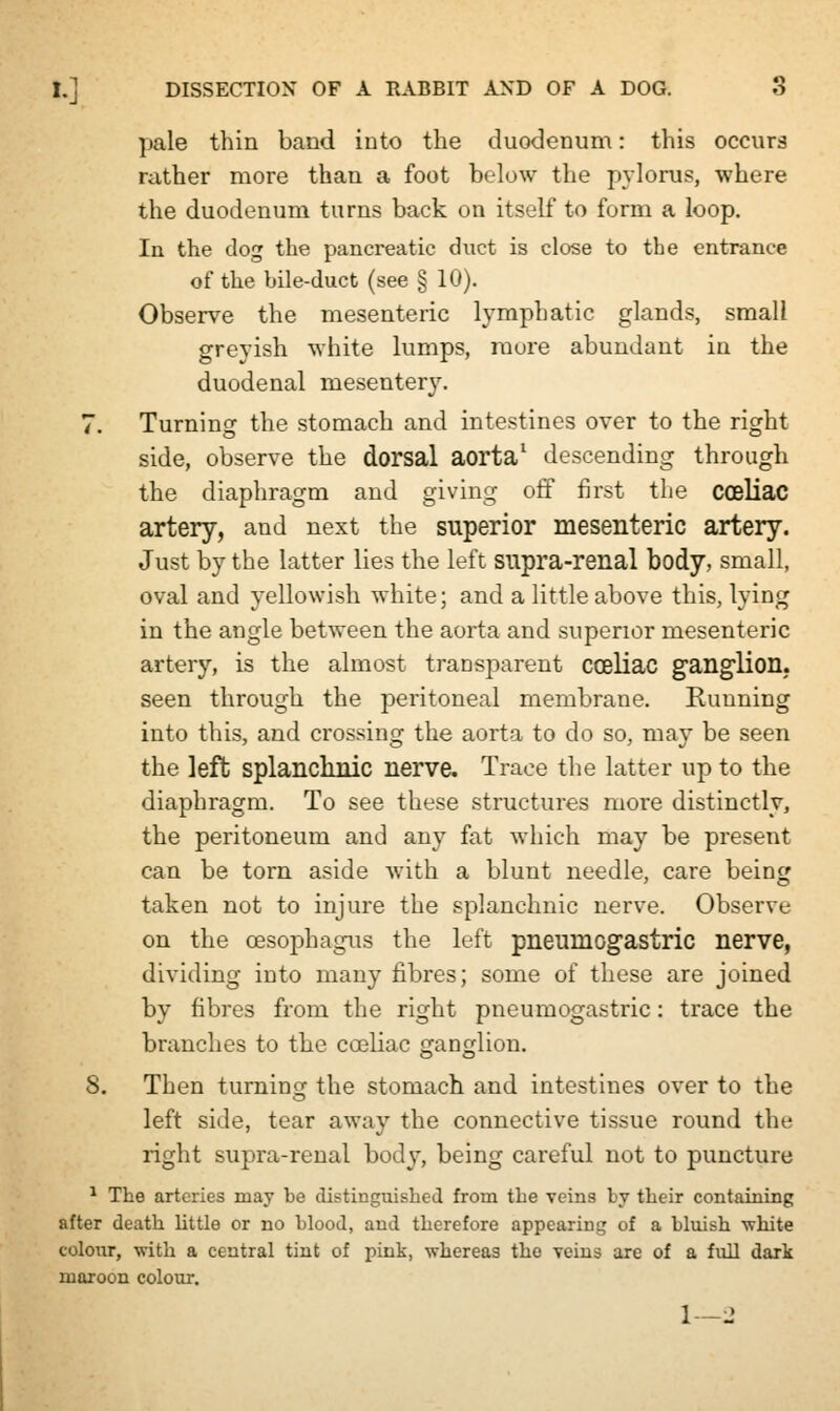 pale thin baud into the duodenum: this occurs rather more than a foot below the pylorus, where the duodenum turns back on itself to form a loop. In the dog the pancreatic duct is close to the entrance of the bile-duct (see § 10). Observe the mesenteric lymphatic glands, small greyish white lumps, mure abundant in the duodenal mesentery. 7. Turning the stomach and intestines over to the right side, observe the dorsal aorta1 descending through the diaphragm and giving off first the coeliac artery, and next the superior mesenteric artery. Just by the latter lies the left supra-renal body, small, oval and yellowish white; and a little above this, lying in the angle between the aorta and superior mesenteric artery, is the almost transparent coeliac ganglion, seen through the peritoneal membrane. Running into this, and crossing the aorta to do so, may be seen the left splanchnic nerve. Trace the latter up to the diaphragm. To see these structures more distinctly, the peritoneum and any fat which may be present can be torn aside with a blunt needle, care being taken not to injure the splanchnic nerve. Observe on the oesophagus the left pneuinogastric nerve, dividing into many fibres; some of these are joined by fibres from the right pneumogastric: trace the branches to the coeliac ganglion. 8. Then turning the stomach and intestines over to the left side, tear away the connective tissue round the right supra-renal body, being careful not to puncture 1 The arteries may be distinguished from the veins by their containing after death little or no blood, and therefore appearing of a bluish 'white colour, with a central tint of pink, whereas the veins are of a full dark maroon colour. 1—2