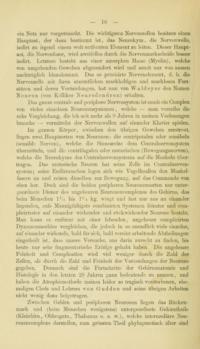 ein Netz nur vorgetäuscht. Die wiclitigstcn Nervenzellen besitzen einen Hauptast, der dazu bestimmt ist, das Neurokym, die Nervenwelle, isoHrt zu irgend einem weit entfernten Element zu leiten. Dieser Haupt- ast, die Nervenfaser, wird zweifellos durch die Nervenmarkscheide besser isolirt. Letztere besteht aus einer amorphen JMassc (Myelin), welche von umgebenden Geweben abgesondert wird und somit nur von aussen nachtrcäglich hinzukommt. Das so präcisirte Nervenelement, d. h. die Nervenzelle mit ihren sämmtlichen markhaltigen und marklosen Fort- sätzen und deren Verästelungen, hat nun von Waldeyer den Namen Neuron (von Kölliker Neurodendron) erhalten. Das ganze centrale und periphere Nervensystem ist somit ein Complex von vielen einzelnen Ncuronensystemen, welche — man verzeihe die rohe Vergleichung, die ich seit mehr als 9 Jahren in meinen Vorlesungen brauche — vermittelst der Nervenwellen auf einander Klavier spielen. Im ganzen Körper, zwischen den übrigen Geweben zerstreut, Hegen zwei Hauptsorten von Neuronen: die centripetalen oder sensibeln (sensible Nerven), welche die Sinnesreize dem Centralnervensystem übermitteln, und die eentrifugaleu oder motorischen (Bewegungsnerven), welche die Neurokyme des Centralnervensystems auf die Muskeln über- tragen. Das motorische Neuron hat seine Zelle im Centralnerven- system; seine Endbäumchen legen sich wie Vogelkrallen den Muskel- fasern an und reizen dieselben zur Bewegung, auf das Commando von oben her. Doch sind die beiden peripheren Neuronensorten nur unter- geordnete Diener des ungeheuren Neuronencomplexes des Gehirns, das beim Menschen P/4 bis P 4 kg. wiegt und fast nur aus an einander liegenden, aufs Mannigfaltigste corabinirten Systemen feinster und com- plicirtester auf einander wirkender und rückwirkender Neurone besteht. Man kann es entfernt mit einer lebenden, ungeheuer complicirten Dynamomaschine vergleichen, die jedoch in so unendlich viele einzelne, auf einander wirkende, bald für sich, bald vereint arbeitende Abtheilungen eingetheilt ist, dass unsere Versuche, uns darin zurecht zu finden, bis heute nur sehr fragmentarische Erfolge gehabt haben. Die ungeheure Feinheit und Complication wird viel weniger durch die Zahl der Zellen, als durch die Zahl und Feinheit der Verästelungen der Neiu-one gegeben. Dennoch sind die Fortschritte der Gehirnanatomie und Histologie in den letzten 20 Jahren ganz bedeutende zu nennen, und haben die Atrophiemethode meines leider so tragisch verstorbenen, ehe- maligen Chefs und Lehrers von Gudden und seine übrigen Arbeiten nicht wenig dazu beigetragen. Zwischen Gehirn und peripheren Neuronen liegen das Rücken- mark und (beim Menschen wenigstens) untergeordnete Gehirntheile (Kleinhirn, Oblongata, Thalamus u. s. w.), welche intermediäre Neu- ronencomplexe darstellen, zum grössten Theil phylogenetisch älter sind