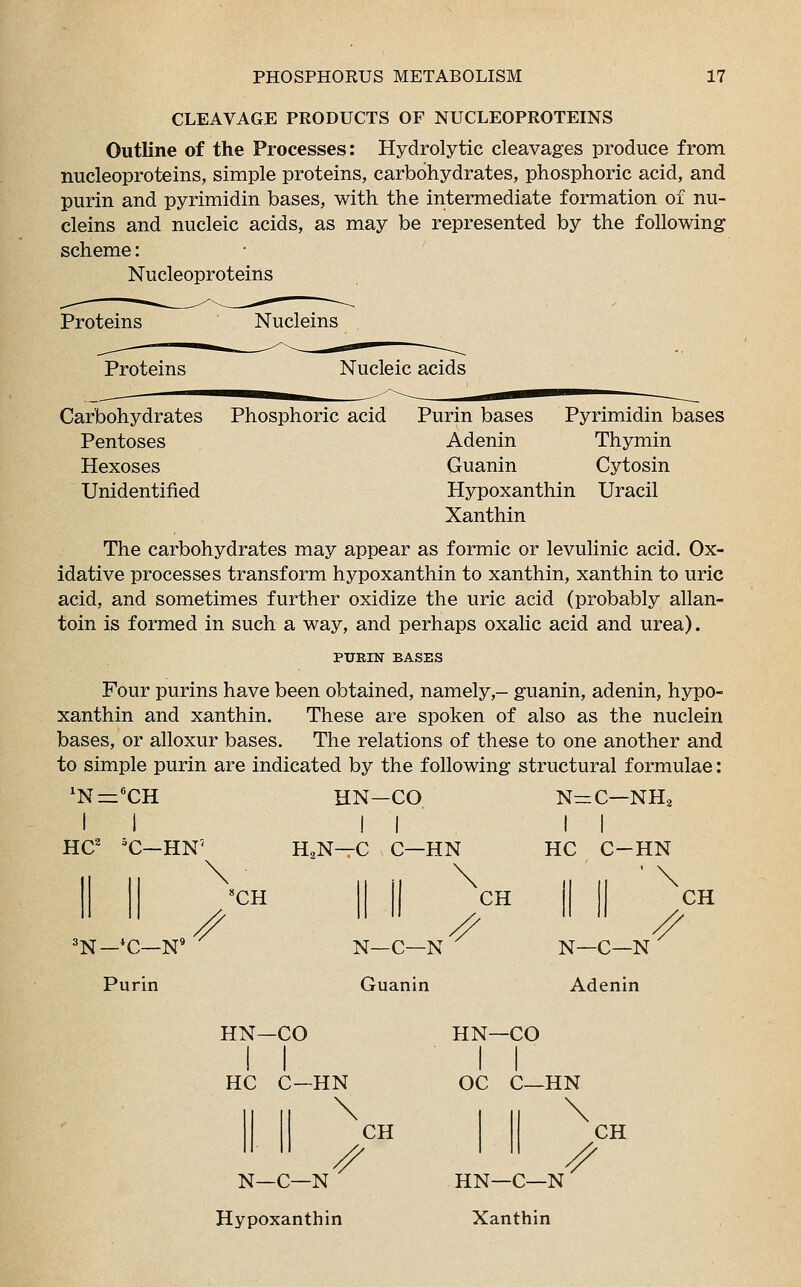 CLEAVAGE PRODUCTS OF NUCLEOPROTEINS Outline of the Processes: Hydrolytic cleavages produce from nucleoproteins, simple proteins, carbohydrates, phosphoric acid, and purin and pyrimidin bases, with the intermediate formation of nu- cleins and nucleic acids, as may be represented by the following scheme: Nucleoproteins Proteins Proteins Carbohydrates Pentoses Hexoses Unidentified Nucleins Nucleic acids Phosphoric acid Purin bases Pyrimidin bases Adenin Thymin Guanin Cytosin Hypoxanthin Uracil Xanthin The carbohydrates may appear as formic or levulinic acid. Ox- idative processes transform hypoxanthin to xanthin, xanthin to uric acid, and sometimes further oxidize the uric acid (probably allan- toin is formed in such a way, and perhaps oxalic acid and urea). PUKIN BASES Four purins have been obtained, namely,- guanin, adenin, hypo- xanthin and xanthin. These are spoken of also as the nuclein bases, or alloxur bases. The relations of these to one another and to simple purin are indicated by the following structural formulae: 'Nr^CH HN—CO N=C—NH2 II II II HC2 5C—HN7 H.N—C * C—HN HC C-HN 'CH 3N— *C—N* Purin CH N—C—N Guanin CH N—C—N Adenin HN—CO I I HC C—HN \ CH N—C—N Hypoxanthin // HN—CO OC C—HN HN—C—N Xanthin S CH