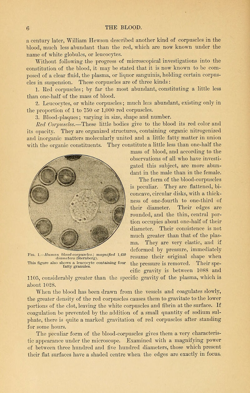 a century later, William Hewson described another kind of corpuscles in the blood, much less abundant than the red, which are now known under the name of white globules, or leucocytes. Without following the progress of microscopical iuTestigations into the constitution of the blood, it may be stated that it is now known to be com- posed of a clear fluid, the plasma, or liquor sanguinis, holding certain corpus- cles in suspension. These corpuscles are of three kinds: 1. Red corpuscles; by far the most abundant, constituting a little less than one-half of the mass of blood. 2. Leucocytes, or white corpuscles; much less abundant, existing only in the proportion of 1 to 750 or 1,000 red corpuscles. 3. Blood-plaques; varying in size, shape and number. Eeil Corpuscles.—These little bodies give to the blood its red color and its opacity. They are organized structures, containing organic nitrogenized and inorganic matters molecularly united and a little fatty matter in union with the organic constituents. They constitute a little less than one-half the mass of blood, and according to the observations of all who have investi- gated this subject, are more abun- dant in the male than in the female. The form of the blood-corpuscles is peculiar. They are flattened, bi- concave, circular disks, with a thick- ness of one-fourth to one-third of their diameter. Their edges are rounded, and the thin, central por- tion occupies about one-half of their diameter. Their consistence is not much greater than that of the f)las- ma. They are very elastic, and if deformed by pressure, immediately resume their original shape when This figure also shows a leucocyte containing four the prcssure is removed. Their Spe- cific gravity is between 1088 and 1105, considerably greater than the specific gravity of the plasma, which is about 1028. When the blood has been drawn from the vessels and coagulates slowly, the gi'eater density of the red corpuscles causes them to gravitate to the lower portions of the clot, leaving the white corpuscles and fibrin at the surface. If coagulation be prevented by the addition of a small quantity of sodium sul- phate, there is quite a marked gravitation of red corpuscles after standing for some hours. The peculiar form of the blood-corpuscles gives them a very characteris- tic appearance under the microscope. Examined with a magnifying power of between three hundred and five hundred diameters, those which present their flat surfaces have a shaded centre when the edges are exactly in focus. Fig. 1.—Human blood-corpuscles; magnified 1,450 diametei's (Sternberg).