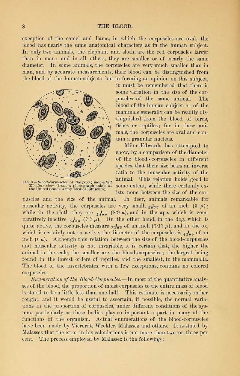 exception of the camel and llama, in which the corpuscles are oval, the blood has nearly the same anatomical characters as in the human subject. In only two animals, the elephant and sloth, are the red corpuscles larger than in man; and in all others, they are smaller or of nearly the same diameter. In some animals, the corpuscles are very much smaller than in man, and by accurate measurements, their blood can be distinguished from the blood of the human subject; but in forming an opinion on this subject, it must be remembered that there is some variation in the size of the cor- puscles of the same animal. The blood of the human subject or of the mammals generally can be readily dis- tinguished from the blood of birds, fishes or rej)tiles; for in these ani- mals, the corpuscles are oval and con- tain a granular nucleus. Milne-Edwards has attempted to show, by a comparison of the diameter of the blood - corpuscles in different species, that their size bears an inverse ratio to the muscular activity of the animal. This relation holds good to some extent, while there certainly ex- ists none between the size of the cor- puscles and the size of the animal. In deer, animals remarkable for muscular activity, the corpuscles are very small, j^^-^ of an inch (5 /x); while in the sloth they are ^^^ (89 /i), and in the ape, which is com- paratively inactive -j^Vo C''''' /*)• On the other hand, in the dog, which is quite active, the corpuscles measure -j-sVir o^ ^^^ ^ch (7'17 fi), and in the ox, which is certainly not so active, the diameter of the corpuscles is -^^ly,^ of an inch (6/Li). Although this relation between the size of the blood-cori3uscles and muscular activity is not invariable, it is certain that, the higher the animal in the scale, the smaller are the blood-corpuscles; the largest being found in the lowest orders of reptiles, and the smallest, in the mammalia. The blood of the invertebrates, with a few exceptions, contains no colored corpuscles. Emimerationof the Blood-Corpuscles.—In most of the quantitative analy- ses of the blood, the proportion of moist corpuscles to the entire mass of blood is stated to be a little less than one-half. This estimate is necessarily rather rough; and it would be useful to ascertain, if possible, the normal varia- tions in the proportion of corpuscles, under different conditions of the sys- tem, particularly as these bodies play so important a part in many of the functions of the organism. Actual enumerations of the blood-corpuscles have been made by Vierordt, Weckler, Malassez and others. It is stated by Malassez that the error in his calculations is not more than two or three per cent. The process employed by Malassez is the following: Fig. 3.—Blood-corpuscles of the frog ; magnified 370 diameters (from a photograph taken at the United States Army Medical Museum).