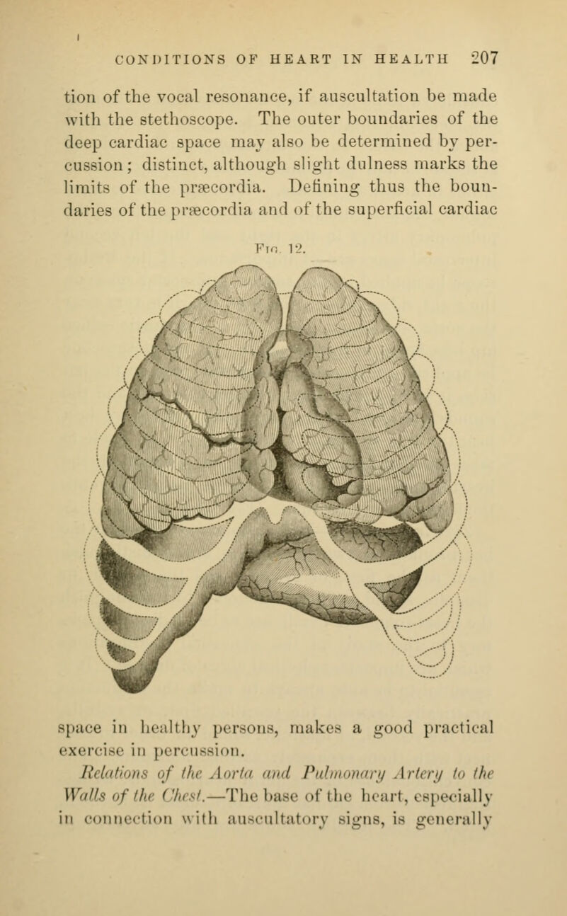 tion of the vocal resonance, if auscultation be made with the stethoscope. The outer boundaries of the deep cardiac space may also be determined by per- cussion; distinct, although slight dulness marks the limits of the praecordia. Defining thus the boun- daries of the pnecordia and of the superficial cardiac Fin 12. space in healthy persons, makes a good practical exercise in percussion. Relations of ihv Aorta and Pulmonary Artery to the Walls of 'I < 'hest.—The base <>f the heart, especially in connection with auscultatory signs, is generally