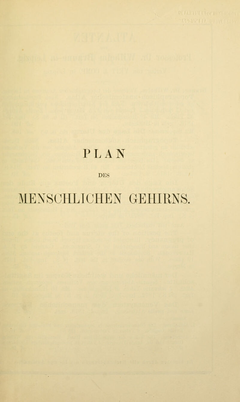 PLAN DES MENSCHLICHEN GEHIRNS.