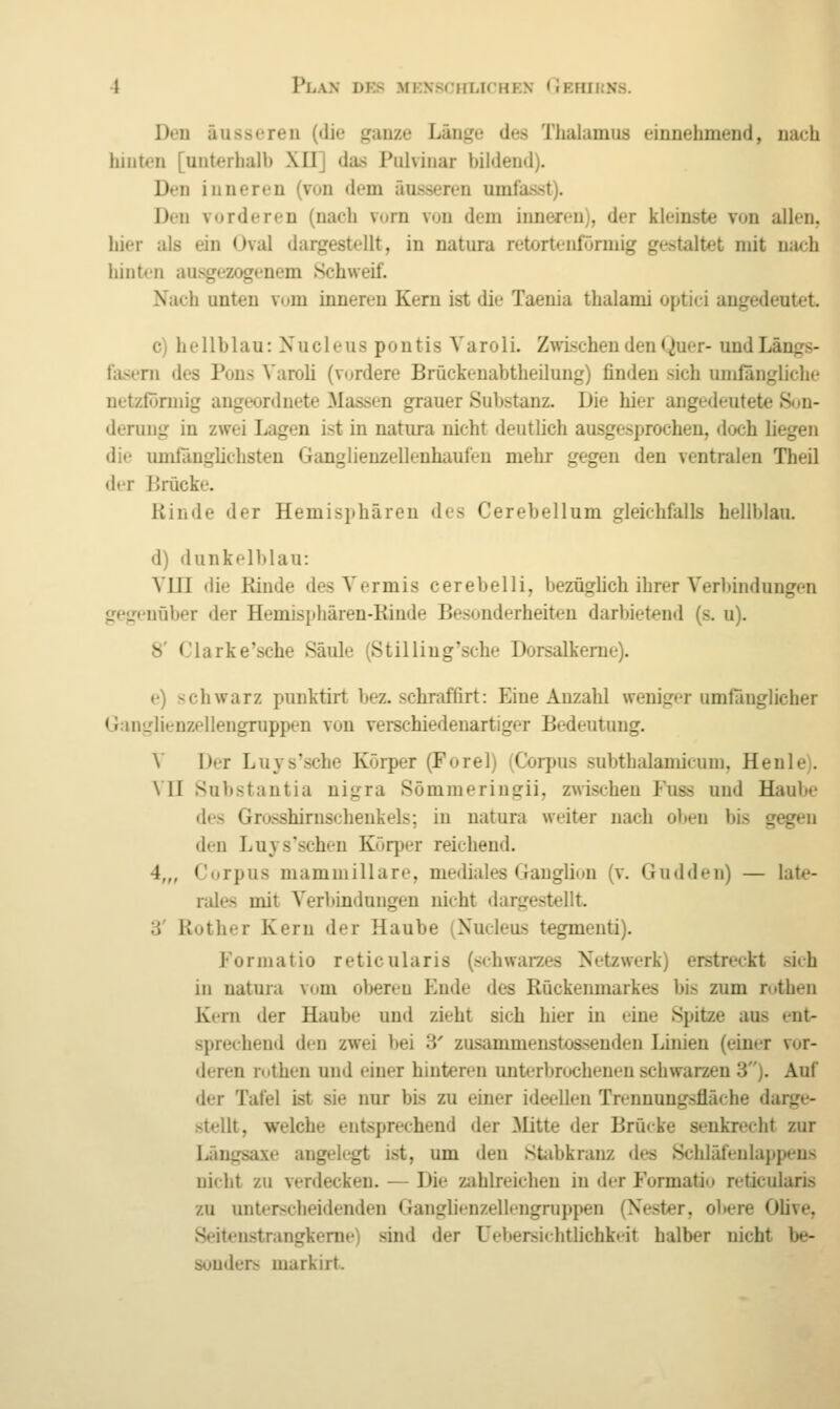 Den äusseren (die ganze Länge des Thalamus einnehmend, nach hinten [unterhalb XII] da-s Pulvinar bildend). Den inneren (von dem äusseren umfa-sst). Den vorderen (nach vorn von dem inneren), der kleinste von allen, hier als ein Oval dargestellt, in natura retortenförmig gestaltet mit nach hinten ausgezogenem Schweif. Nach unten vom inneren Kern ist die Taenia thalami optici angedeutet. c) hellblau: Xucleus pontis Varoli. Zwischen den Quer- undLängs- fasem des Pous ^'a^oü (vordere Brückeuabtheilung) finden sich umfängliche netzfonnig angeordnete Massen grauer Substanz. Die hier angedeutete S<jn- derung in zwei Lagen ist in natura nicht deutlich ausgesprochen, doch liegen die umlangüchsten Ganglienzellenhauleu mehr gegen den ventralen Theil der P>rücke. Kinde der Hemisphären des Cerebellum gleichfalls hellblau. d) dunkelblau: VLQ die Rinde desVermis cerebelli, bezüghch ihrer Verbindungen gegenüber der Hemisphären-Rinde Besonderheiten darbietend (s. u). 8' Clark e'sche Säule (Stilling'sclie Dorsalkeme). e) schwarz pmiktirt bez. schraffirt: Eine Anzahl weniger umfänglicher Ganglienzellengruppen von verschiedenartiger Bedeutung. V Der Luys'sche Körper (Forel) (Corpus subthalamicum, Henle). VU Substantia nigra Sömmeringii, zAnschen Fuss und Haube des Grosshirnschenkels; in natura weiter nach oben bis g^en den Luys'schen Körper reichend. 4,„ Corpus mammillare, mediales Ganglion (v. Gudden) — late- rales mit Verbindungen nicht dargestellt. 3' Rother Kern der Haube (Nucleus tegmenti). Forniatio reticularis (schwarzes Netzwerk) erstreckt sieh in natura vom oberen Ende des Rückenmarkes bis zum rothen Kern der Haube und zieht sich hier in eine Spitze aus ent- sprechend den zwei bei 3' zusammenstossenden Linien (einer vor- deren rothen und einer hinteren unterbrochenen schwarzen 3). Aul der Tafel ist sie nur bis zu einer ideellen Trennungsfläche darge- stellt, welche entsprechend der Mitte der Brücke senkrecht zur Längsaxe angelegt ist, um den Stabkranz des Schläfenlappens nicht zu verdecken. — Die zahlreichen in der Formatio reticularis zu unterscheidenden Ganghenzelleugruppen (Nester, ol»ere Oüve, Seitenstrangkeme) sind der L^ebersiehtlichkeit halber nicht be- sonders markirt.