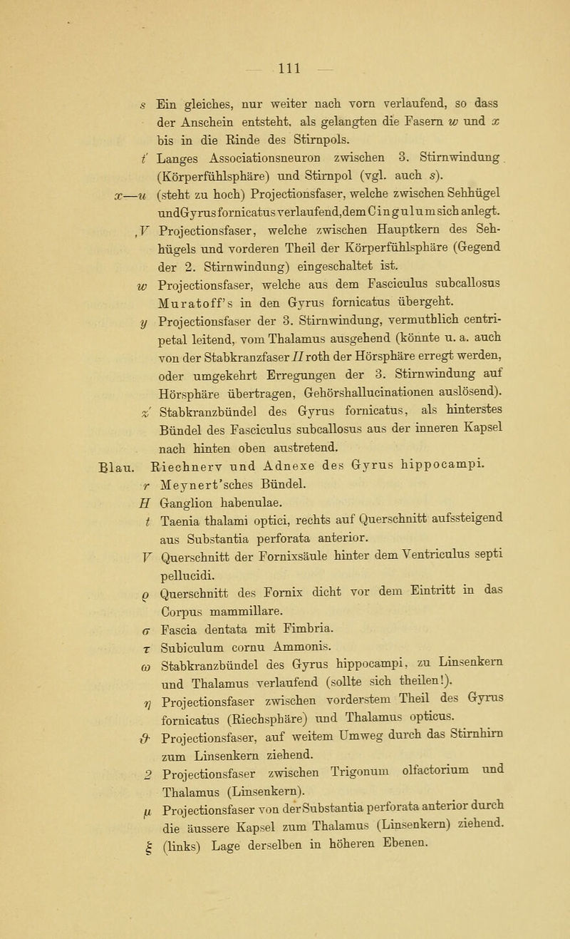 In- fi Ein gleiches, nur weiter nach vorn verlaufend, so dass der Anschein entsteht, als gelangten die Fasern w und x bis in die Rinde des Stimpols. t' Langes Associationsneuron zwischen 3. Stirnwindung. (Körperfühlsphäre) und Stimpol (vgl. auch s). X—u (steht zu hoch) Projectionsfaser, welche zwischen Sehhügel undGyrusfornicatus verlaufendjdem Cin gulum sich anlegt. ,F Projectionsfaser, welche zwischen Hauptkern des Seh- hügels und vorderen Theil der Körperfühlsphäre (Gegend der 2. Stirnwindung) eingeschaltet ist. w Projectionsfaser, welche aus dem Fasciculus subcallosus Muratoff's in den Gyrus fornicatus übergeht. y Projectionsfaser der 3. Stirnwindung, vermuthlich centri- petal leitend, vom Thalamus ausgehend (könnte u. a. auch von der Stabkranzfaser I/roth der Hörsphäre erregt werden, oder umgekehrt Erregungen der 3. Stirn windung auf Hörsphäre übertragen, Gehörshallucinationen auslösend). % Stabkranzbündel des Gyrus fornicatus, als hinterstes Bündel des Fasciculus subcallosus aus der inneren Kapsel nach hinten oben austretend. Blau. Riechnerv und Adnexe des Gyrus hippocampi. r Meynert'sches Bündel. H Ganglion habenulae. t Taenia thalami optici, rechts auf Querschnitt aufssteigend aus Substantia perforata anterior. F Querschnitt der Fornissäule hinter dem Ventriculus septi pellucidi. q Querschnitt des Fomix dicht vor dem Eintritt in das Corpus mammillare. a Fascia dentata mit Fimbria. T Subiculum cornu Ammonis. ö? Stabkranzbündel des Gyrus hippocampi, zu Linsenkem und Thalamus verlaufend (sollte sich theilen!). ri Projectionsfaser zwischen vorderstem Theil des Gyrus fornicatus (Riechsphäre) und Thalamus opticus. ß- Projectionsfaser, auf weitem Umweg durch das Stirnhim zum Linsenkern ziehend. 2 Projectionsfaser zwischen Trigonum olfactorium und Thalamus (Linsenkern). ju Proj ectionsfaser von der Substantia perforata anterior durch die äussere Kapsel zum Thalamus (Linsenkern) ziehend. I (links) Lage derselben in höheren Ebenen.