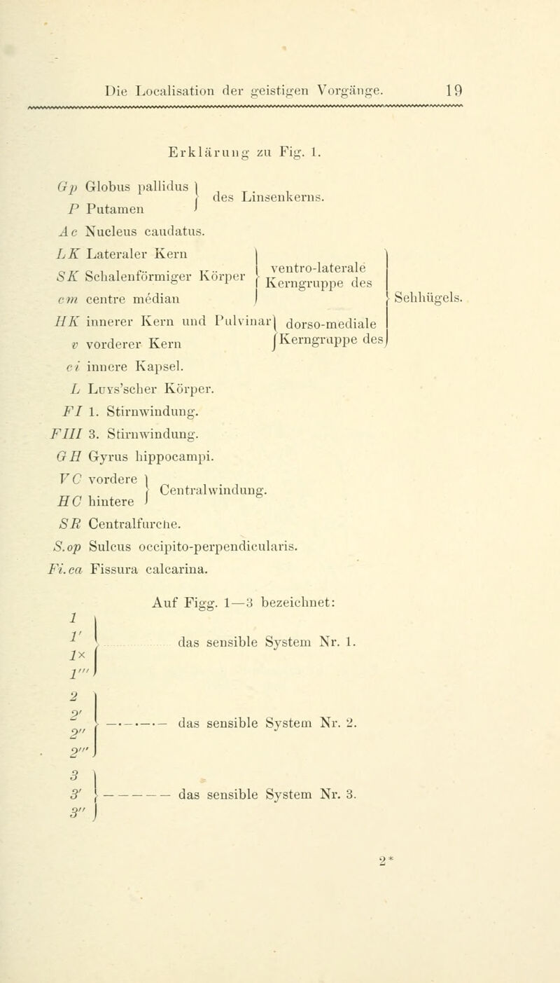 Erkläruiiü- zu Fitr. l. des Linsenkerns. ventro-laterale Kerngruppe des Gp Globus jiallidus P Putamen Ac Nucleus caudatus. LK Lateraler Kern SK Schalenförmiger Körper cm centre median HK innerer Kern und Tidvinarl dorso-mediale V vorderer Kern jKerngruppe des) ci innere Kapsel. L LüYs'scher Körper. FI 1. Stirnwindung. FIII 3. Stirn Windung. OH Gyrus hippocampi. VC vordere 1 Central Windung. HC hintere J ^ SR Centralfurche. S. op Sulcus occipito-perpendicularis. Fi.ca Fissura calcarina. Auf Figg. 1—3 bezeichnet: \ I ■' \ das sensible System Nr. 1. Sehhügels. (las sensible System Nr. 2. das sensible System Nr. 3.