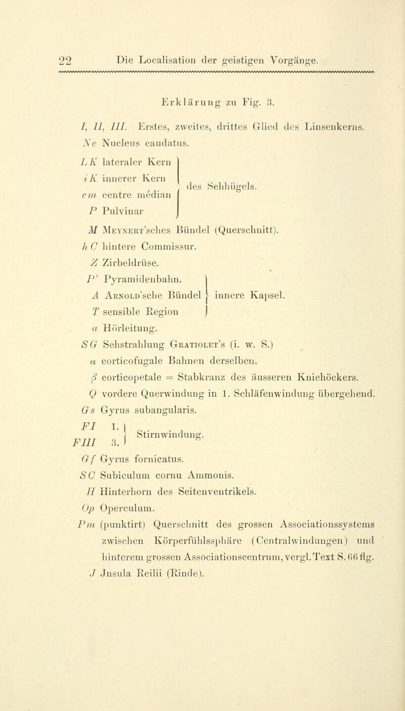 de« Seliliiigels. Erklärung zu Fig. 3. /, 11, 111. Erstes, zweites, drittes Glied des Linsenkerns. Xc Nucleus eaudatus. LK lateraler Kern IK innerer Kern cm centre median P Pulvinar M Meynert'scIics Bündel (Querschnitt). h C hintere Commissur. Z Zirbeldrüse. P' Pyi-amideubahn. j A AuNOLo'sclie Bündel \ innere Kapsel. T sensible Region j a Hörleitung. SO Sehstrahlung Grätiolet's (i. w. S.) a corticofugale Bahnen derselben. ß corticopetale = Stabkranz des äusseren Kniehöckers. Q vordere Querwindung in 1. Sehläfenwindung übergehend. Os Gyrus subangularis. FI \.\ I Stirnwindung. FlII 3. J ^ Of Gyrus fornicatus. «SC Subiculum cornu Ammonis. H Hinterhorn des Seitenventrikels. Op Operculum. Pin (punktirt) Quersclinitt des grossen Associationssystems zwischen Körperfühlssphäre (Centralwindungen) und hinterem grossen Associationscentrum, vergl.Text S. ()6 flg. J Jnsula Reilii (Rinde).