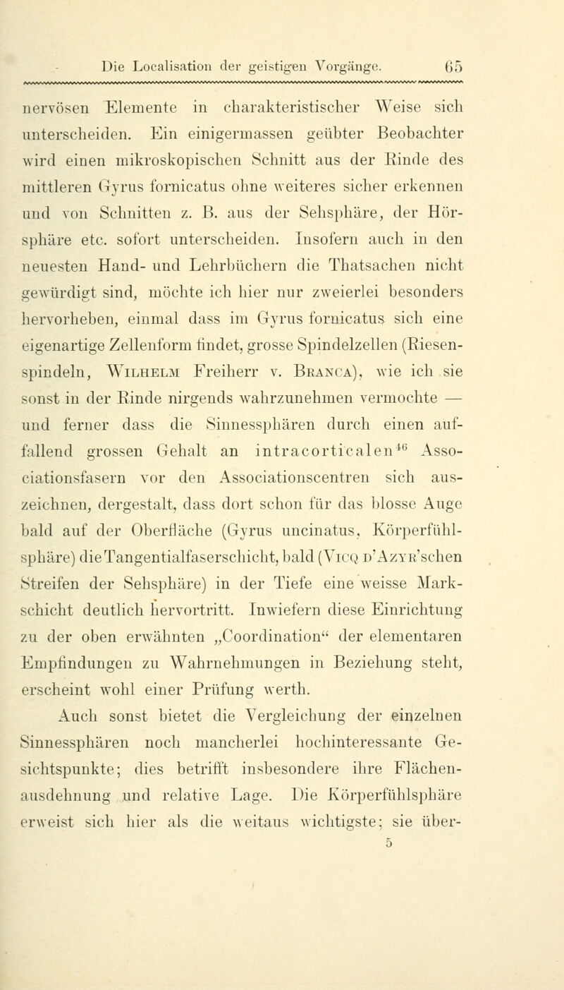 nervösen Elemente in charakteristischer Weise sich unterscheiden. Ein einigermassen geübter Beobachter wird einen mikroskopischen Schnitt aus der Rinde des mittleren Gyrus fornicatus ohne weiteres sicher erkennen und von Schnitten z. B. aus der Sehsphäre, der Hör- sphäre etc. sofort unterscheiden. Insofern auch in den neuesten Hand- und Lehrbüchern die Thatsachen nicht gewürdigt sind, möchte ich hier nur zweierlei besonders hervorheben, einmal dass im Gyrus fornicatus sich eine eigenartige Zellenform findet, grosse Spindelzellen {Riesen- spindeln, Wilhelm Freiherr v. Branca), wie ich sie sonst in der Rinde nirgends wahrzunehmen vermochte — und ferner dass die Sinnessphären durch einen auf- fallend grossen Gehalt an intracorticalen^'^ Asso- ciationsfasern vor den Associationscentren sich aus- zeichnen, dergestalt, dass dort schon für das blosse Auge bald auf der Oberfläche (Gyrus uncinatus, Körperfühl- sphäre) dieTangentialfaserschicht, bald (Vic(^ D'AzYR'schen Streifen der Sehsphäre) in der Tiefe eine weisse Mark- schicht deutlich hervortritt. Inwiefern diese Einrichtung zu der oben erwähnten „Coordination der elementaren Empfindungen zu Wahrnehmungen in Beziehung steht, erscheint wohl einer Prüfung werth. Auch sonst bietet die Vergleichung der einzelnen Sinnessphären noch mancherlei hochinteressante Ge- sichtspunkte; dies betrifft insbesondere ihre Flächen- ausdehnung und relative Lage. Die Körperfühlsphäre erweist sich hier als die weitaus wichtigste; sie über-