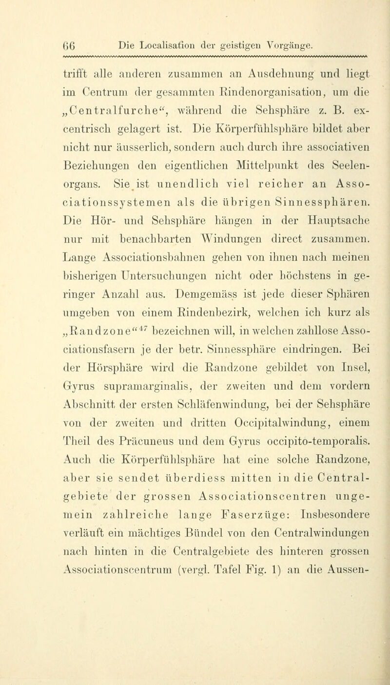 trifft alle anderen zusammen an Ausdehnung und liegt im Centrum der gesammten Rindenorganisation, um die „Centralfurche'S während die Sehsphäre z. B. ex- centrisch gelagert ist. Die Körperfühlsphäre bildet aber nicht nur äusserlich, sondern auch durch ihre associativen Beziehungen den eigentlichen Mittelpunkt des Seelen- organs. Sie ist unendlich viel reicher an Asso- ciationssystemen als die übrigen Sinnessphären. Die Hör- und Sehsphäre hängen in der Hauptsache nur mit benachbarten Windungen direct zusammen. Lange Associationsbahnen gehen von ihnen nach meinen bisherigen Untersuchungen nicht oder höchstens in ge- ringer Anzahl aus. Demgemäss ist jede dieser Sphären umgeben von einem Rindenbezirk, welchen ich kurz als „Randzone^'' bezeichnen will, in welchen zahllose Asso- ciationsfasern je der betr. Sinnessphäre eindringen. Bei der Hörsphäre wird die Randzone gebildet von Insel, Gyrus supramarginalis, der zweiten und dem vordem Abschnitt der ersten Schläfenwindung, bei der Sehsphäre von der zweiten und dritten Occipitalwindung, einem Theil des Präcuneus und dem Gyrus occipito-temporalis. Auch die Körperfühlsphäre hat eine solche Randzone, aber sie sendet überdiess mitten in die Central- gebiete der grossen Associationscentren unge- mein zahlreiche lange Faserzüge: Insbesondere verläuft ein mächtiges Bündel von den Centralwindungen nach hinten in die Centralgebiete des hinteren grossen Associationscentrum (vergl. Tafel Fig. 1) an die Aussen-