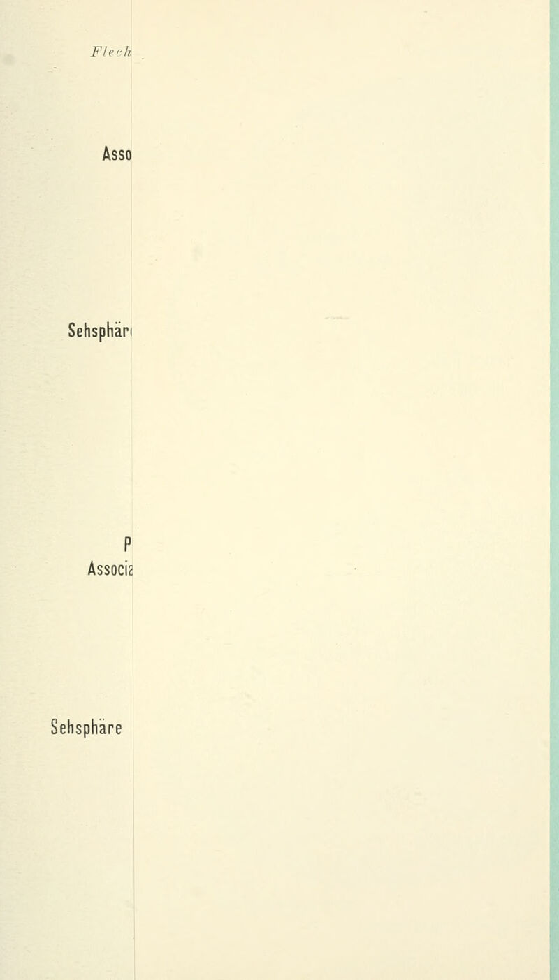 Flech Asso Sehsphän P Associz Sehsphäre