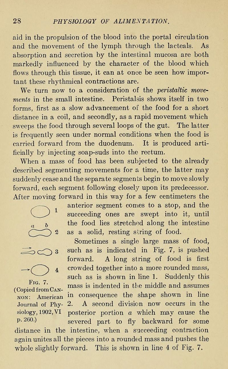aid in the propulsion of the blood into the portal circulation and the movement of the lymph through the lacteals. As absorption and secretion by the intestinal mucosa are both markedly influenced by the character of the blood which flows through this tissue, it can at once be seen how impor- tant these rhythmical contractions are. We turn now to a consideration of the peristaltic move- ments in the small intestine. Peristalsis shows itself in two forms, first as a slow advancement of the food for a short distance in a coil, and secondly, as a rapid movement which sweeps the food through several loops of the gut. The latter is frequently seen under normal conditions when the food is carried forward from the duodenum. It is produced arti- ficially by injecting soap-suds into the rectum. When a mass of food has been subjected to the already described segmenting movements for a time, the latter may suddenly cease and the separate segments begin to move slowly forward, each segment following closely upon its predecessor. After moving forward in this way for a few centimeters the anterior segment comes to a stop, and the succeeding ones are swept into it, until a 6 the food lies stretched along the intestine (3XZ) ^ as a solid, resting string of food. Sometimes a single large mass of food, ^^2> cQ 3 sucn as *s indicated in Fig. 7, is pushed forward. A long string of food is first —*(^ > ^ crowded together into a more rounded mass, such as is shown in line 1. Suddenly this ,n ■ lG.' ' ^ mass is indented in the middle and assumes (Copied irom Can- . non: American in consequence the shape shown in line Journal of Phy- 2. A second division now occurs in the siology, 1902, VI posterior portion a which may cause the p. 260.) severed part to fly backward for some distance in the intestine, when a succeeding contraction again unites all the pieces into a rounded mass and pushes the whole slightly forward. This is shown in line 4 of Fig. 7.