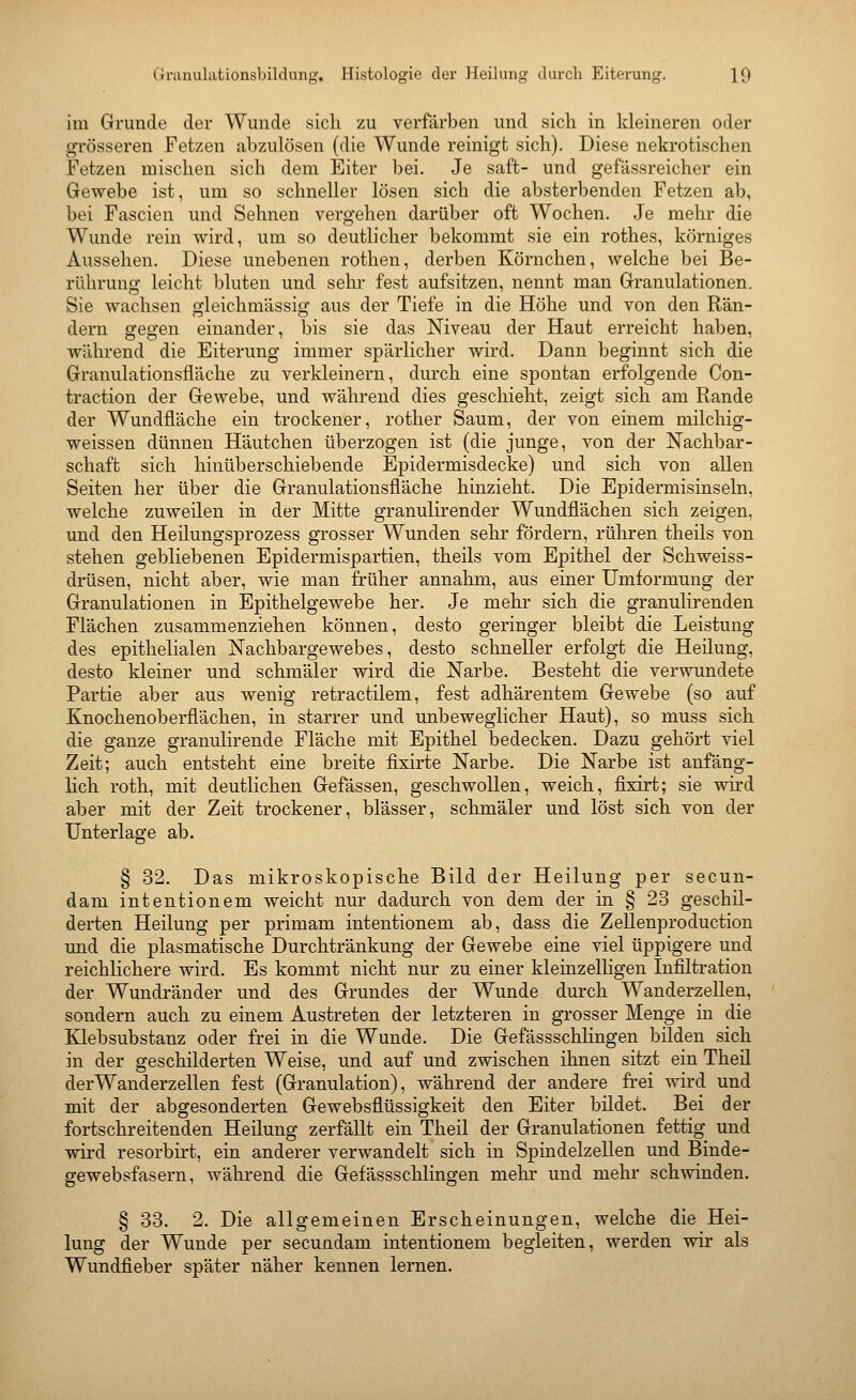 im Grunde der Wunde sich zu verfärben und sich in kleineren oder grösseren Fetzen abzulösen (die Wunde reinigt sich). Diese nekrotischen Fetzen mischen sich dem Eiter bei. Je saft- und gefässreicher ein Gewebe ist, um so schneller lösen sich die absterbenden Fetzen ab, bei Fascien und Sehnen vergehen darüber oft Wochen. Je mehr die Wunde rein wird, um so deutlicher bekommt sie ein rothes, körniges Aussehen. Diese unebenen rothen, derben Körnchen, welche bei Be- rühruno- leicht bluten und sehr fest aufsitzen, nennt man Granulationen. Sie wachsen gleichmässig aus der Tiefe in die Höhe und von den Rän- dern gegen einander, bis sie das Niveau der Haut erreicht haben, während die Eiterung immer spärlicher wird. Dann beginnt sich die Granulationsfläche zu verkleinern, durch eine spontan erfolgende Con- traction der Gewebe, und während dies geschieht, zeigt sich am Rande der Wundfläche ein trockener, rother Saum, der von einem milchig- weissen dünneu Häutchen überzogen ist (die junge, von der Nachbar- schaft sich hinüberschiebende Epidermisdecke) und sich von allen Seiten her über die Granulationsfläche hinzieht. Die Epidermisinseln. welche zuweilen in der Mitte granulirender Wundflächen sich zeigen, und den Heilungsprozess grosser Wunden sehr fördern, rühren theils von stehen gebliebenen Epidermispartien, theils vom Epithel der Schweiss- drüsen, nicht aber, wie man früher annahm, aus einer Umformung der Granulationen in Epithelgewebe her. Je mehr sich die granulirenden Flächen zusammenziehen können, desto geringer bleibt die Leistung des epithelialen Nachbargewebes, desto schneller erfolgt die Heilung, desto kleiner und schmäler wird die Narbe. Besteht die verwundete Partie aber aus wenig retractilem, fest adhärentem Gewebe (so auf Knochenoberflächen, in starrer und unbeweglicher Haut), so muss sich die ganze granulirende Fläche mit Epithel bedecken. Dazu gehört viel Zeit; auch entsteht eine breite fixirte Narbe. Die Narbe ist anfäng- lich roth, mit deutlichen Gefässen, geschwollen, weich, fixirt; sie wird aber mit der Zeit trockener, blässer, schmäler und löst sich von der Unterlage ab. § 32. Das mikroskopische Bild der Heilung per secun- dam intentionem weicht nur dadurch von dem der in § 23 geschil- derten Heilung per primam intentionem ab, dass die ZeUenproduction und die plasmatische Durchtränkung der Gewebe eine viel üppigere und reichlichere wird. Es kommt nicht nur zu einer kleinzelligen Infiltration der Wundränder und des Grundes der Wunde durch Wanderzellen, sondern auch zu einem Austreten der letzteren in grosser Menge in die Klebsubstanz oder frei in die Wunde. Die GefässschKngen bilden sich in der geschilderten Weise, und auf und zwischen ihnen sitzt ein Theil der Wanderzellen fest (Granulation), während der andere frei wird und mit der abgesonderten Gewebsflüssigkeit den Eiter bildet. Bei der fortschreitenden Heilung zerfällt ein Theil der Granulationen fettig und wird resorbirt, ein anderer verwandelt sich in Spindelzellen und Binde- gewebsfasern, während die Gefässschlingen melu- und mehr schwinden. § 33. 2. Die allgemeinen Erscheinungen, welche die Hei- lung der Wunde per secundam intentionem begleiten, werden wir als Wundfieber später näher kennen lernen.