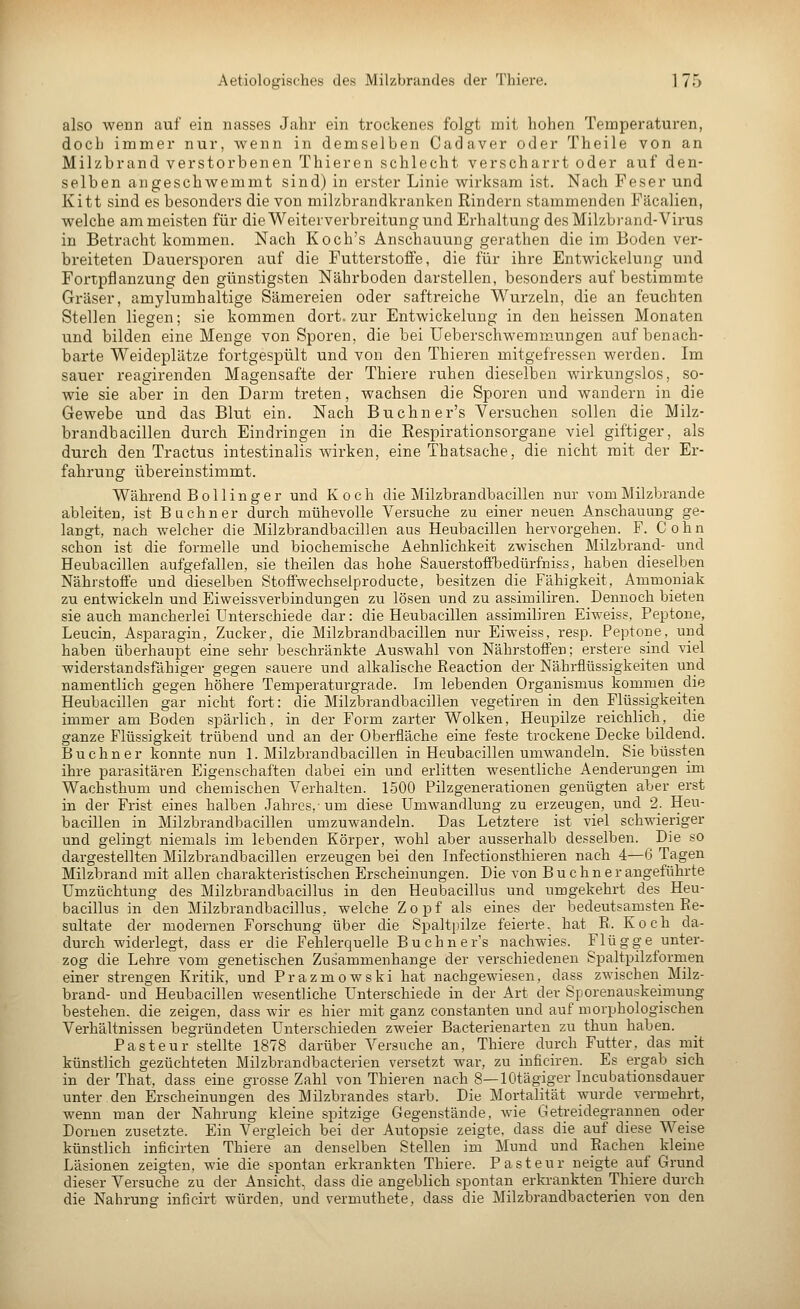 Aetiologisches des Milzbrandes der Thiere. 1 75 also wenn auf ein nasses Jahr ein trockenes folgt mit hohen Temperaturen, doch immer nur, wenn in demselben Cadaver oder Theile von an Milzbrand verstorbenen Thieren schlecht verscharrt oder auf den- selben angeschAvemmt sind) in erster Linie wirksam ist. Nach Feser und Kitt sind es besonders die von milzbrandkranken Rindern stammenden Fäcalien, welche am meisten für die Weiterverbreitung und Erhaltung des Milzbrand-Virus in Betracht kommen. Nach Koch's Anschauung gerathen die im Boden ver- breiteten Dauersporen auf die Futterstoffe, die für ihre Entwickelung und Fortpflanzung den günstigsten Nährboden darstellen, besonders auf bestimmte Gräser, amylumhaltige Sämereien oder saftreiche Wurzeln, die an feuchten Stellen liegen; sie kommen dort, zur Entwickelung in den heissen Monaten und bilden eine Menge von Sporen, die bei üeberschwemmungen auf benach- barte Weideplätze fortgespült und von den Thieren mitgefressen werden. Im sauer reagirenden Magensafte der Thiere ruhen dieselben wirkungslos, so- wie sie aber in den Darm treten, wachsen die Sporen und wandern in die Gewebe und das Blut ein. Nach Buchner's Versuchen sollen die Milz- brandbacillen durch Eindringen in die Respirationsorgane viel giftiger, als durch den Tractus intestinalis wirken, eine Thatsache, die nicht mit der Er- fahrung übereinstimmt. Während Bollinger und Koch die Milzbrandbacillen nur vom Milzbrande ableiten, ist Buebner durch mühevolle Versuche zu einer neuen Anschauung ge- langt, nach welcher die Milzbrandbacillen aus Heubacillen hervorgehen. F. Cohn schon ist die formelle und biochemische Aehnlichkeit zwischen Milzbrand- und Heubacillen aufgefallen, sie theilen das hohe Sauerstoffbedürfniss, haben dieselben Nährstoffe und dieselben Stoffwechselproducte, besitzen die Fähigkeit, Ammoniak zu entwickeln und Eiweissverbindungen zu lösen und zu assimiliren. Dennoch bieten sie auch mancherlei Unterschiede dar: die Heubacillen assimiliren Eiweiss, Peptone, Leucin, Asparagin, Zucker, die Milzbrandbacillen nur Eiweiss, resp. Peptone, und haben überhaupt eine sehr beschränkte Auswahl von Nährstoffen; erstere sind viel widerstandsfähiger gegen sauere und alkalische Reaction der Nährflüssigkeiten und namentlich gegen höhere Temperaturgrade. Im lebenden Organismus kommen die Heubacillen gar nicht fort: die Milzbrandbacillen vegetiren in den Flüssigkeiten immer am Boden spärlich, in der Form zarter Wolken, Heupilze reichlich, die ganze Flüssigkeit trübend und an der Oberfläche eine feste trockene Decke bildend. Buchner konnte nun 1. Milzbrandbacillen in Heubacillen umwandeln. Sie büssten ihre parasitären Eigenschaften dabei ein und erlitten wesentliche Aenderungen im Wachsthum und chemischen Verhalten. 1500 Pilzgenerationen genügten aber erst in der Frist eines halben Jahres, um diese Umwandlung zu erzeugen, und 2. Heu- bacillen in Milzbrandbacillen umzuwandeln. Das Letztere ist viel schwieriger und gelingt niemals im lebenden Körper, wohl aber ausserhalb desselben. Die so dargestellten Milzbrandbacillen erzeugen bei den Infectionsthieren nach 4—6 Tagen Milzbrand mit allen charakteristischen Erscheinungen. Die von B u c h n e r angeführte Umzüchtung des Milzbrandbacillus in den Heubacillus und umgekehrt des Heu- bacillus in den Milzbrandbacillus, welche Zopf als eines der bedeutsamsten Re- sultate der modernen Forschung über die Spaltpilze feierte, hat R. Koch da- durch widerlegt, dass er die Fehlerquelle Buchner's nachwies. Flügge unter- zog die Lehre vom genetischen Zusammenhange der verschiedenen Spaltpilzformen einer strengen Kritik, und Prazmowski hat nachgewiesen, dass zwischen Milz- brand- und Heubacillen wesentliche Unterschiede in der Art der Sporenauskeimung bestehen, die zeigen, dass wir es hier mit ganz constanten und auf morphologischen Verhältnissen begründeten Unterschieden zweier Bacterienarten zu thun haben. Pasteur\tellte 1878 darüber Versuche an, Thiere durch Futter, das mit künstlich gezüchteten Milzbrandbacterien versetzt war, zu inficiren. Es ergab sich in der That, dass eine grosse Zahl von Thieren nach 8—lOtägiger Incubationsdauer unter den Erscheinungen des Milzbrandes starb. Die Mortalität wurde vermehrt, wenn man der Nahrung kleine spitzige Gegenstände, wie Getreidegrannen oder Dornen zusetzte. Ein Vergleich bei der Autopsie zeigte, dass die auf diese Weise künstlich inficirten Thiere an denselben Stellen im Mund und Rachen kleine Läsionen zeigten, wie die spontan erkrankten Thiere. Pasteur neigte auf Grund dieser Versuche zu der Ansicht, dass die angeblich spontan erkrankten Thiere durch die Nahrung inficirt würden, und vermuthete, dass die Milzbrandbacterien von den