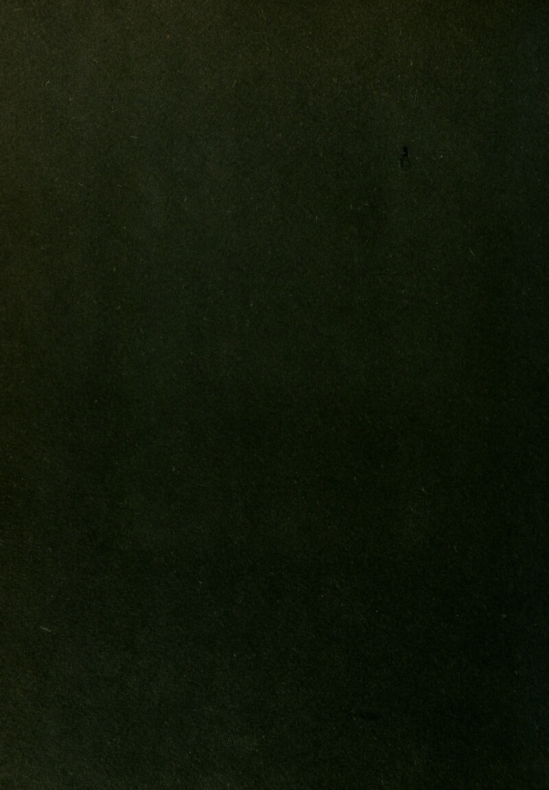 %:>' ;>V|V /v ; 'J. ^.r, ■■■:::.-i^ ■ «:.■.■