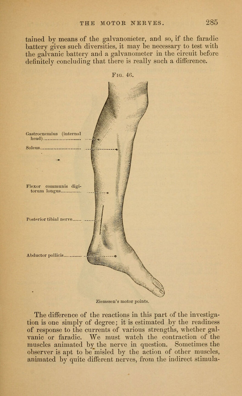 tained by means of the galvanometer, and so, if the faradic battery gives such diversities, it may be necessary to test Avith the galvanic battery and a galvanometer in the circuit before definitely concluding that there is really such a difference. Pig. 46. Gastrocnemius (internal head) Soleus. Flexor communis digi- torum lon2;us Posterior tibial nerve. Abductor poUicis. Ziemssen's motor points. The difference of the reactions in this part of the investiga- tion is one simply of degree; it is estimated by the readiness of response to the currents of various strengths, whether gal- vanic or faradic. We must watch the contraction of the muscles animated by the nerve in question. Sometimes the observer is apt to be*misled by the action of other muscles, animated by quite different nerves, from the indirect stimula-