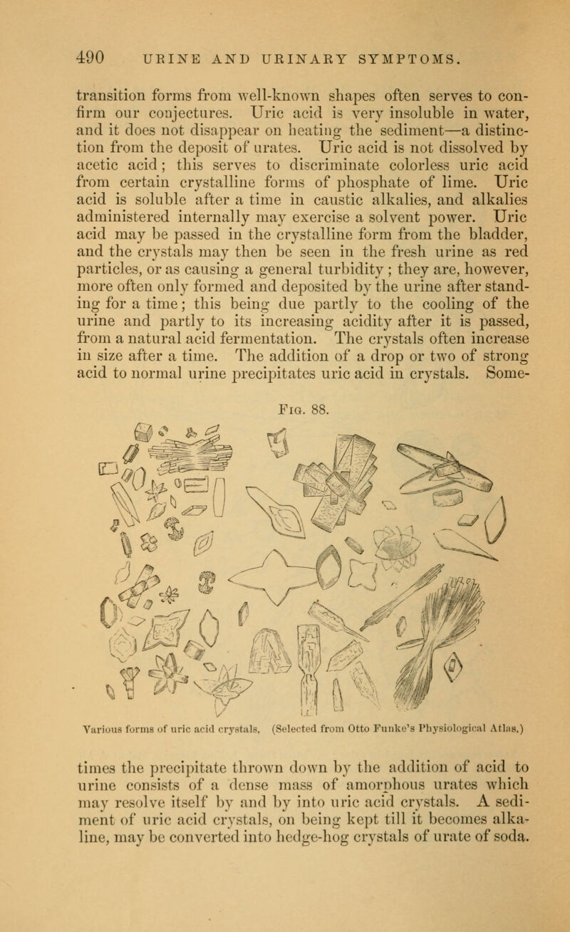 transition forms from well-known shapes often serves to con- firm our conjectures. Uric acid is very insoluble in water, and it does not disappear on beating tbe sediment—a distinc- tion from tbe deposit of urates. Uric acid is not dissolved by acetic acid; tbis serves to discriminate colorless uric acid from certain crystalline forms of pbospbate of lime. Uric acid is soluble after a time in caustic alkalies, and alkalies administered internally may exercise a solvent power. Uric acid may be passed in the crystalline form from the bladder, and the crystals may then be seen in the fresh urine as red particles, or as causing a general turbidity ; they are, however, more often only formed and deposited by the urine after stand- ing for a time; this being due partly to the cooling of the urine and partly to its increasing acidity after it is passed, from a natural acid fermentation. The crystals often increase in size after a time. The addition of a drop or two of strong acid to normal urine precipitates uric acid in crystals. Some- Yarious forms uf uric acid cr5'stals, (Selected from Otto Funke's Physiological Atlas,) times the precipitate thrown down by the addition of acid to urine consists of a dense mass of amorphous urates which may resolve itself by and by into uric acid crystals. A sedi- ment of uric acid crystals, on being kept till it becomes alka- line, may be converted into hedge-hog crystals of urate of soda.