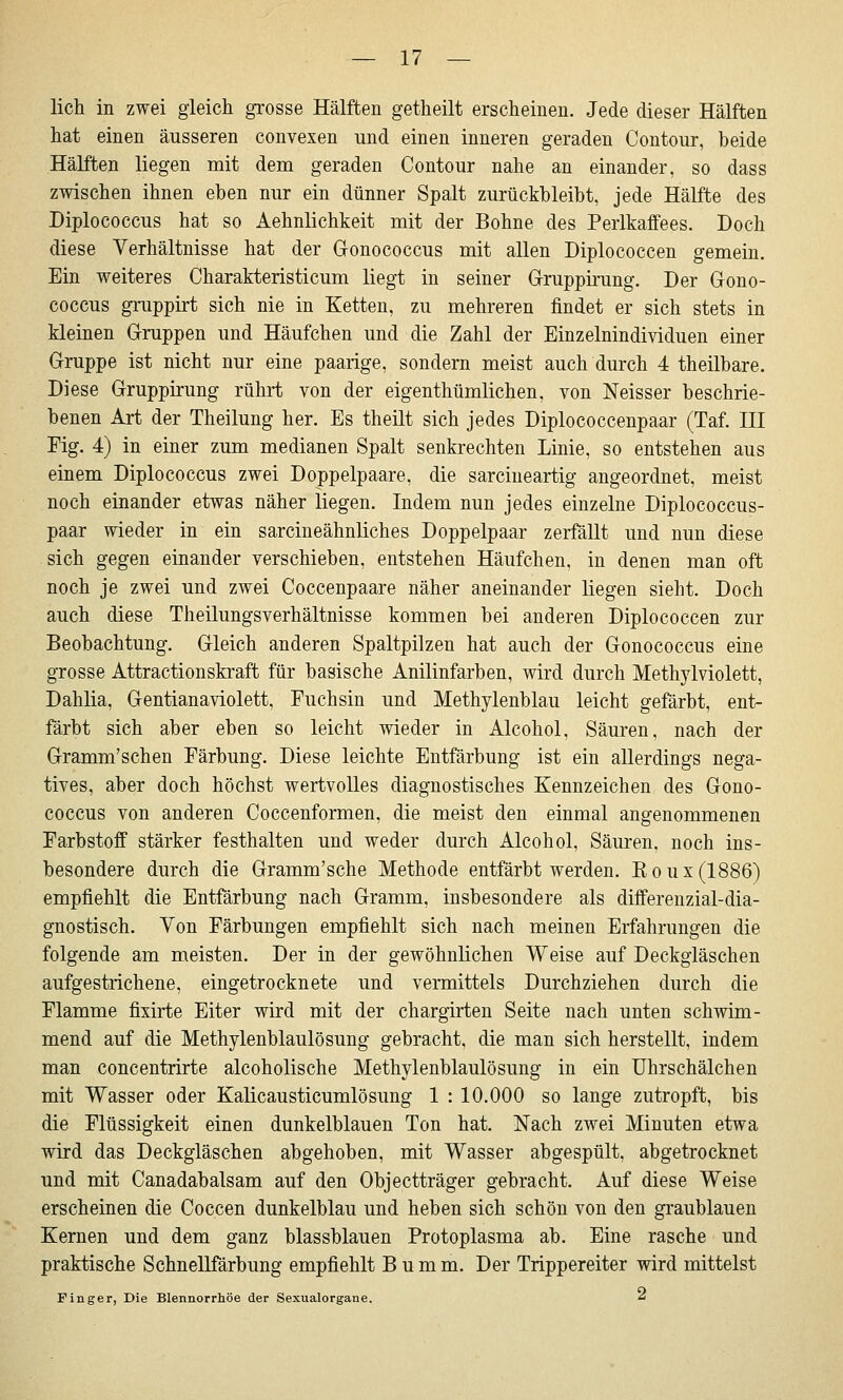 lieh in zwei gleich grosse Hälften getheilt erscheinen. Jede dieser Hälften hat einen äusseren convexen und einen inneren geraden Contour, beide Hälften liegen mit dem geraden Contour nahe an einander, so dass zwischen ihnen eben nur ein dünner Spalt zurückbleibt, jede Hälfte des Diplococcus hat so Aehnlichkeit mit der Bohne des Perlkaffees. Doch diese Verhältnisse hat der Gonococcus mit allen Diplococcen gemein. Ein weiteres Charakteristicum liegt in seiner Crruppü-ung. Der Gono- coccus gnippirt sich nie in Ketten, zu mehreren findet er sich stets in kleinen Gruppen und Häufchen und die Zahl der Einzelnindividuen einer Gruppe ist nicht nur eine paarige, sondern meist auch durch 4 theilbare. Diese Gruppirung rührt von der eigenthümlichen, von Neisser beschrie- benen Art der Theilung her. Es theilt sich jedes Diplococcenpaar (Taf. III Fig. 4) in einer zum medianen Spalt senkrechten Linie, so entstehen aus einem Diplococcus zwei Doppelpaare, die sarciueartig angeordnet, meist noch einander etwas näher liegen. Indem nun jedes einzelne Diplococcus- paar wieder in ein sarcineähnliches Doppelpaar zerfällt und nun diese sich gegen einander verschieben, entstehen Häufchen, in denen man oft noch je zwei und zwei Coccenpaare näher aneinander liegen sieht. Doch auch diese Theilungsverhältnisse kommen bei anderen Diplococcen zur Beobachtung. Gleich anderen Spaltpilzen hat auch der Gonococcus eine grosse Attractionski-aft für basische Anilinfarben, wird durch Methylviolett, Dahlia, Gentianaviolett, Fuchsin und Methylenblau leicht gefärbt, ent- färbt sich aber eben so leicht wieder in Alcohol, Säuren, nach der Gramm'schen Färbung. Diese leichte Entfärbung ist ein allerdings nega- tives, aber doch höchst wertvolles diagnostisches Kennzeichen des Gono- coccus von anderen Coccenformen, die meist den einmal angenommenen Farbstoff stärker festhalten und weder durch Alcohol, Säuren, noch ins- besondere durch die Gramm'sche Methode entfärbt werden. Eoux(1886) empfiehlt die Entfärbung nach Gramm, insbesondere als differeuzial-dia- gnostisch. Yon Färbungen empfiehlt sich nach meinen Erfahrungen die folgende am meisten. Der in der gewöhnlichen Weise auf Deckgläschen aufgestrichene, eingetrocknete und vermittels Durchziehen durch die Flamme fixirte Eiter wird mit der chargirten Seite nach unten schwim- mend auf die Methylenblaulösung gebracht, die man sich herstellt, indem man concentrirte alcoholische Methylenblaulösung in ein Uhrschälchen mit Wasser oder Kalicausticumlösung 1 : 10.000 so lange zutropft, bis die Flüssigkeit einen dunkelblauen Ton hat. Nach zwei Minuten etwa wird das Deckgläschen abgehoben, mit Wasser abgespült, abgetrocknet und mit Canadabalsam auf den Objectträger gebracht. Auf diese Weise erscheinen die Coccen dunkelblau und heben sich schön von den graublauen Kernen und dem ganz blassblauen Protoplasma ab. Eine rasche und praktische Schnellfärbung empfiehlt B u m m. Der Trippereiter wird mittelst Finger, Die Blennorrhoe der Sexualorgane. ^