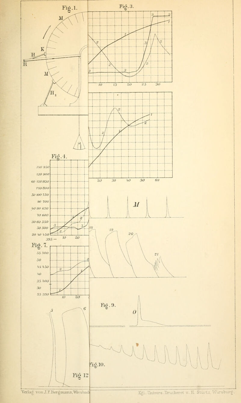 Verlv: \ cm J.F.BergmaiuVWLesba .' irzburg.