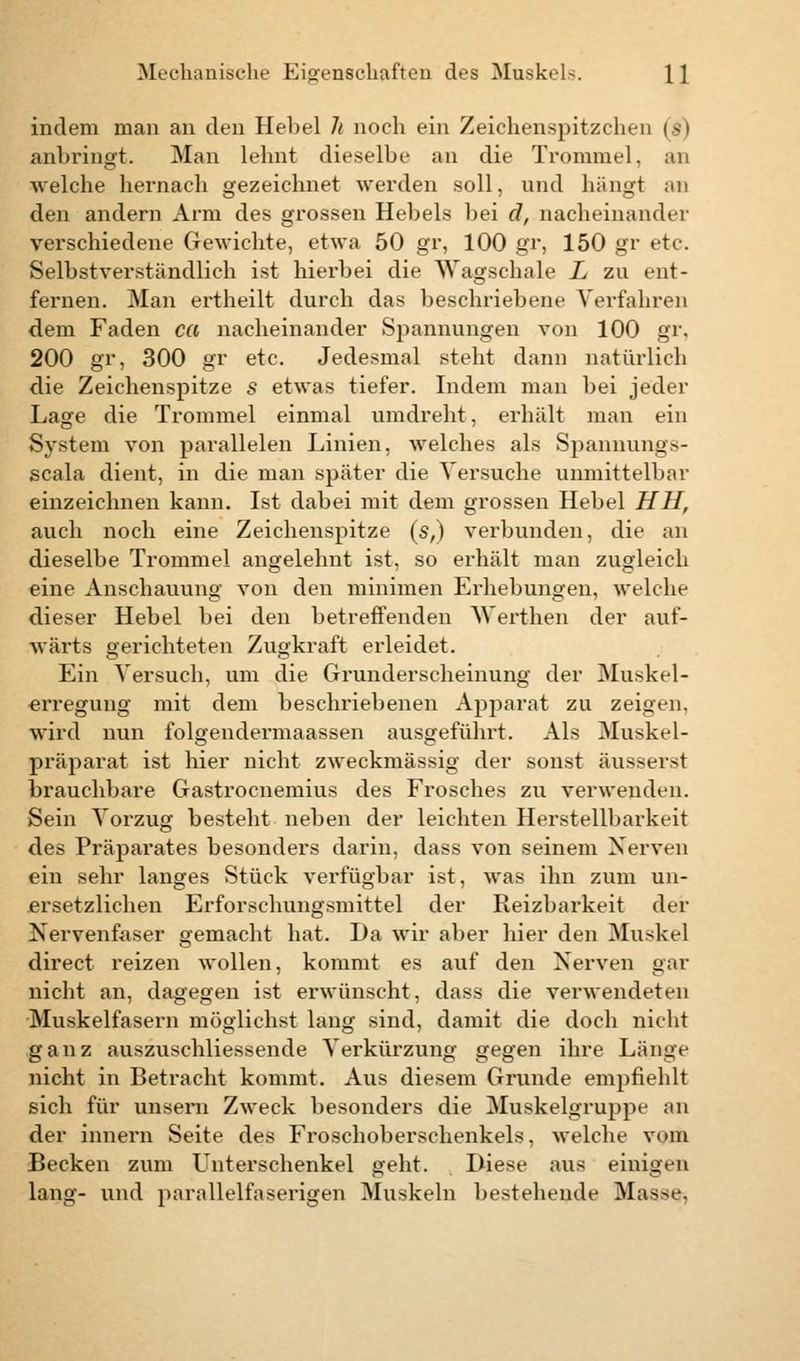indem man an den Hebel h noch ein Zeichenspitzchen (>i anbringt. Man lehnt dieselbe an die Trommel, an welche hernach gezeichnet werden soll, und hängt an den andern Arm des grossen Hebels bei d, nacheinander verschiedene Gewichte, etwa 50 gr, 100 gr, 150 gr etc. Selbstverständlich ist hierbei die Wagschale L zu ent- fernen. Man ertheilt durch das beschriebene Verfahren dem Faden ca nacheinander Spannungen von 100 gr. 200 gr, 300 gr etc. Jedesmal steht dann natürlich die Zeichenspitze s etwas tiefer. Indem man bei jeder Lage die Trommel einmal umdreht, erhält man ein System von parallelen Linien, welches als Spannungs- scala dient, in die man später die Versuche unmittelbar einzeichnen kann. Ist dabei mit dem grossen Hebel HH, auch noch eine Zeichenspitze (s,) verbunden, die an dieselbe Trommel angelehnt ist, so erhält man zugleich eine Anschauung von den minimen Erhebungen, welche dieser Hebel bei den betreffenden Werthen der auf- wärts gerichteten Zugkraft erleidet. Ein Versuch, um die Grunderscheinung der Muskel- erregung mit dem beschriebenen Apparat zu zeigen, wird nun folgendermaassen ausgeführt. Als Muskel- präparat ist hier nicht zweckmässig der sonst äusserst brauchbare Gastrocnemius des Frosches zu verwenden. Sein Vorzug besteht neben der leichten Herstellbarkeit des Präparates besonders darin, dass von seinem Nerven ein sehr langes Stück verfügbar ist, was ihn zum un- ersetzlichen Erforschungsmittel der Reizbarkeit der Nervenfaser gemacht hat. Da wir aber hier den Muskel direct reizen wollen, kommt es auf den Nerven gar nicht an, dagegen ist erwünscht, dass die vei-wendeten Muskelfasern möglichst lang sind, damit die doch nicht ganz ausznschliessende Verkürzung gegen ihre Länge nicht in Betracht kommt. Aus diesem Grunde empfiehlt sich für unsern Zweck besonders die Muskelgrupp*' an der innern Seite des Froschoberschenkels, welche vi »in Becken zum Unterschenkel geht. Biese aus einigen lang- und parallelfaserigen Muskeln bestehende Mas>e.