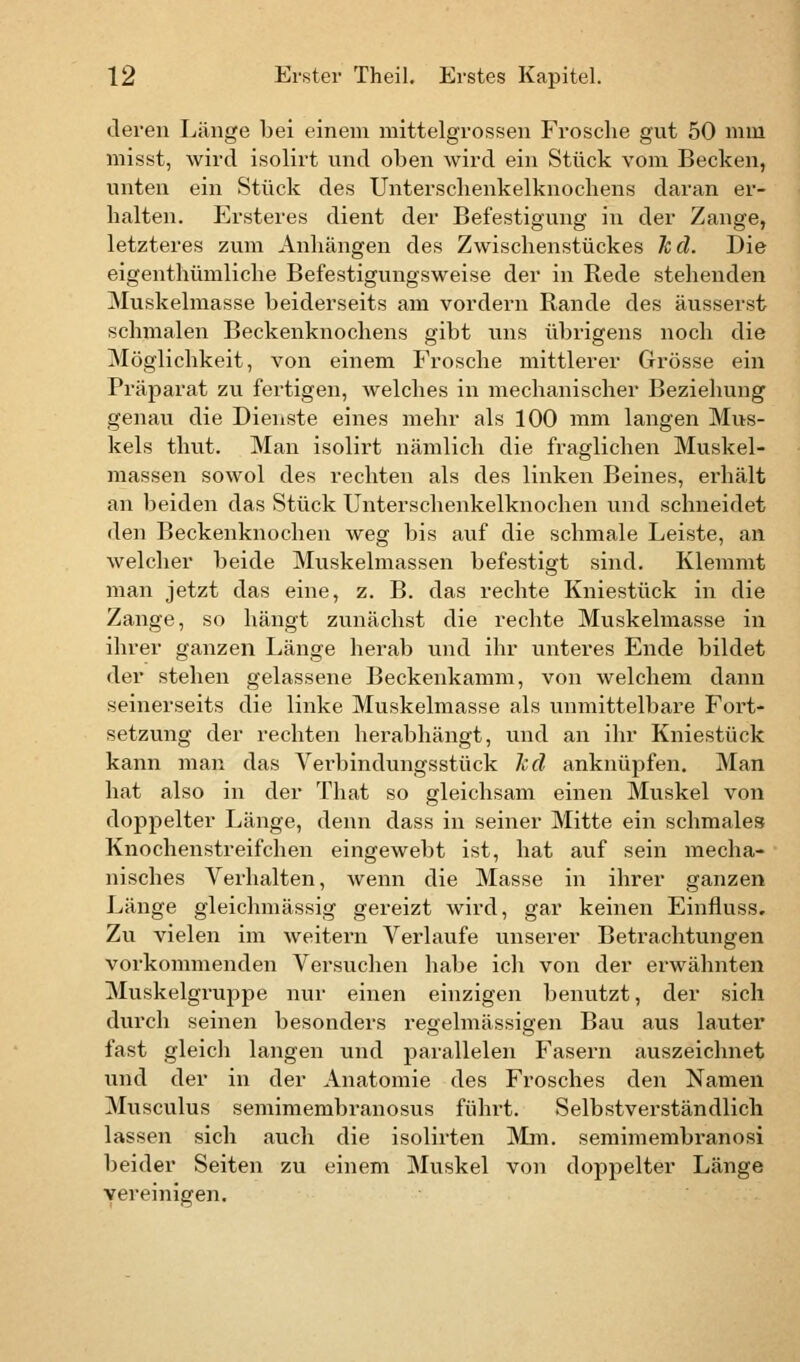 deren Länge bei einem mittelgrossen Frosche gut 50 mm misst, wird isolirt und oben wird ein Stück vom Becken, unten ein Stück des Untersclienkelknochens daran er- halten. Ersteres dient der Befestigung in der Zange, letzteres zum Anhängen des Zwischenstückes 7c cl. Die eigentümliche Befestigungsweise der in Rede stehenden Muskelmasse beiderseits am vordem Rande des äusserst schmalen Beckenknochens gibt uns übrigens noch die Möglichkeit, von einem Frosche mittlerer Grösse ein Präparat zu fertigen, welches in mechanischer Beziehung genau die Dienste eines mehr als 100 mm langen Mus- kels thut. Man isolirt nämlich die fraglichen Muskel- massen sowol des rechten als des linken Beines, erhält an beiden das Stück Unterschenkelknochen und schneidet den Beckenknochen weg bis auf die schmale Leiste, an welcher beide Muskelmassen befestigt sind. Klemmt man jetzt das eine, z. B. das rechte Kniestück in die Zange, so hängt zunächst die rechte Muskelmasse in ihrer ganzen Länge herab und ihr unteres Ende bildet der stehen gelassene Beckenkamm, von welchem dann seinerseits die linke Muskelmasse als unmittelbare Fort- setzung der rechten herabhängt, und an ihr Kniestück kann man das Verbindungsstück Icd anknüpfen. Man hat also in der That so gleichsam einen Muskel von doppelter Länge, denn dass in seiner Mitte ein schmales Knochenstreifchen eingewebt ist, hat auf sein mecha- nisches Verhalten, wenn die Masse in ihrer ganzen Länge gleichmässig gereizt wird, gar keinen Einfluss, Zu vielen im weitem Verlaufe unserer Betrachtungen vorkommenden Versuchen habe ich von der erwähnten Muskelgruppe nur einen einzigen benutzt, der sich durch seinen besonders regelmässigen Bau aus lauter fast gleich langen und parallelen Fasern auszeichnet und der in der Anatomie des Frosches den Namen Musculus semimembranosus führt. Selbstverständlich lassen sich auch die isolirten Mm. semimembranosi beider Seiten zu einem Muskel von doppelter Länge vereinigen.