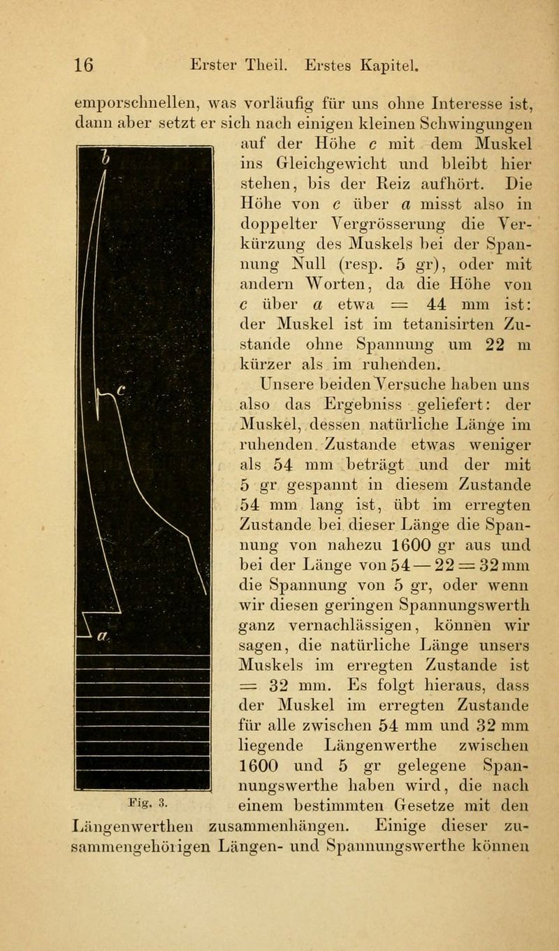 emporschnellen, was vorläufig für uns ohne Interesse ist, dann aber setzt er sich nach einigen kleinen Schwingungen auf der Höhe c mit dem Muskel ins Gleichgewicht und bleibt hier stehen, bis der Reiz aufhört. Die Höhe von c über a misst also in doppelter Vergrösserung die Ver- kürzung des Muskels bei der Span- nung Null (resp. 5 gr), oder mit andern Worten, da die Höhe von c über a etwa = 44 mm ist: der Muskel ist im tetanisirten Zu- stande ohne Spannung um 22 m kürzer als im ruhenden. Unsere beidenYersuche haben uns also das Ergebniss geliefert: der Muskel, dessen natürliche Länge im ruhenden Zustande etwas weniger Ials 54 mm beträgt und der mit 5 gr gespannt in diesem Zustande 54 mm lang ist, übt im erregten Zustande bei dieser Länge die Span- j nung von nahezu 1600 gr aus und bei der Länge von 54 — 22 = 32 mm • - die Spannung von 5 gr, oder wenn gyg Hjfi wir diesen geringen Spannungswerth I 99 . RI ganz vernachlässigen, können wir sagen, die natürliche Länge unsers Muskels im erregten Zustande ist = 32 mm. Es folgt hieraus, class der Muskel im erregten Zustande für alle zwischen 54 mm und 32 mm liegende Längenwerthe zwischen 1600 und 5 gr gelegene Span- nungswerthe haben wird, die nach einem bestimmten Gesetze mit den Einige dieser zu- Fig. 3. Längenwerthen zusammenhängen sammengehöiigen Längen- und Spannungswerthe können