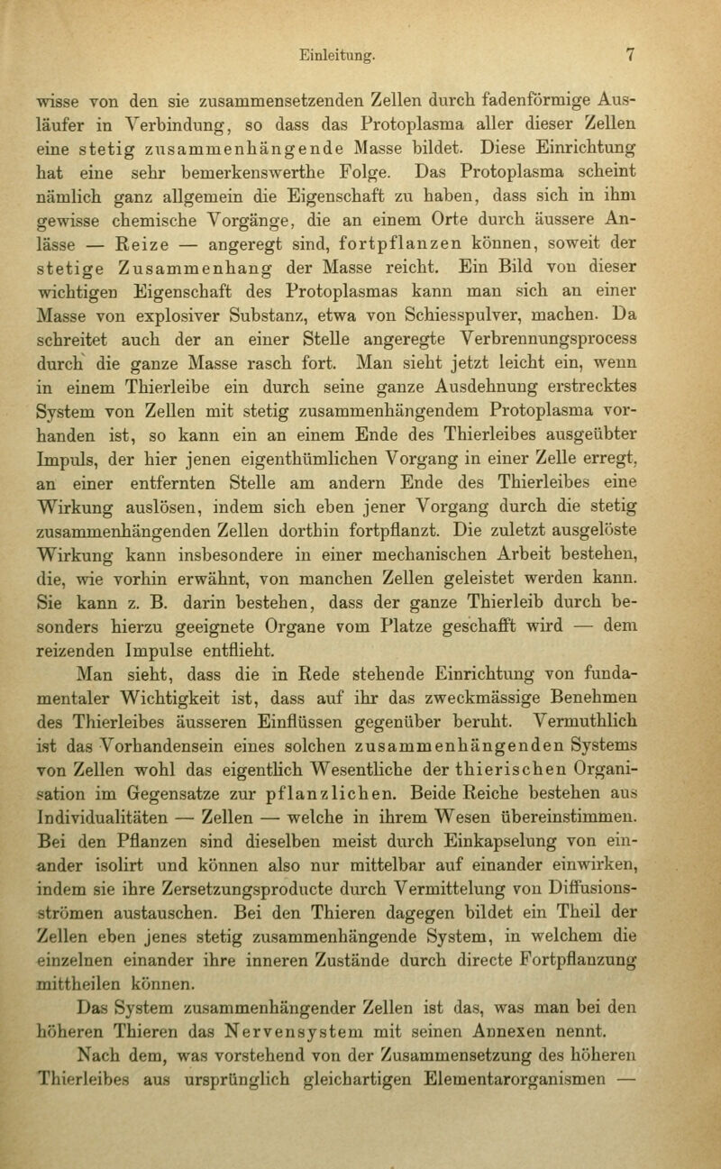 wisse von den sie zusammensetzenden Zellen durch fadenförmige Aus- läufer in Verbindung, so dass das Protoplasma aller dieser Zellen eine stetig zusammenhangende Masse bildet. Diese Einrichtung hat eine sehr bemerkenswerthe Folge. Das Protoplasma scheint nämlich ganz allgemein die Eigenschaft zu haben, dass sich in ihm gewisse chemische Vorgänge, die an einem Orte durch äussere An- lässe — Reize — angeregt sind, fortpflanzen können, soweit der stetige Zusammenhang der Masse reicht. Ein Bild von dieser wichtigen Eigenschaft des Protoplasmas kann man sich an einer Masse von explosiver Substanz, etwa von Schiesspulver, machen. Da schreitet auch der an einer Stelle angeregte Verbrennungsprocess durch die ganze Masse rasch fort. Man sieht jetzt leicht ein, wenn in einem Thierleibe ein durch seine ganze Ausdehnung erstrecktes System von Zellen mit stetig zusammenhängendem Protoplasma vor- handen ist, so kann ein an einem Ende des Thierleibes ausgeübter Impuls, der hier jenen eigenthümlichen Vorgang in einer Zelle erregt, an einer entfernten Stelle am andern Ende des Thierleibes eine Wirkung auslösen, indem sich eben jener Vorgang durch die stetig zusammenhängenden Zellen dorthin fortpflanzt. Die zuletzt ausgelöste Wirkung kann insbesondere in einer mechanischen Arbeit bestehen, die, wie vorhin erwähnt, von manchen Zellen geleistet werden kann. Sie kann z. B. darin bestehen, dass der ganze Thierleib durch be- sonders hierzu geeignete Organe vom Platze geschafft wird — dem reizenden Impulse entflieht. Man sieht, dass die in Rede stehende Einrichtung von funda- mentaler Wichtigkeit ist, dass auf ihr das zweckmässige Benehmen des Thierleibes äusseren Einflüssen gegenüber beruht. Vermuthlich ist das Vorhandensein eines solchen zusammenhängenden Systems von Zellen wohl das eigentlich Wesentliche der thierischen Organi- sation im Gegensatze zur pflanzlichen. Beide Reiche bestehen aus Individualitäten — Zellen — welche in ihrem Wesen übereinstimmen. Bei den Pflanzen sind dieselben meist durch Einkapselung von ein- ander isolirt und können also nur mittelbar auf einander einwirken, indem sie ihre Zersetzungsproducte durch Vermittelung von Diffusions- strömen austauschen. Bei den Thieren dagegen bildet ein Theil der Zellen eben jenes stetig zusammenhängende System, in welchem die einzelnen einander ihre inneren Zustände durch directe Fortpflanzung mittheilen können. Das System zusammenhängender Zellen ist das, was man bei den höheren Thieren das Nervensystem mit seinen Annexen nennt. Nach dem, was vorstehend von der Zusammensetzung des höheren Thierleibes aus ursprünglich gleichartigen Elementarorganismen —