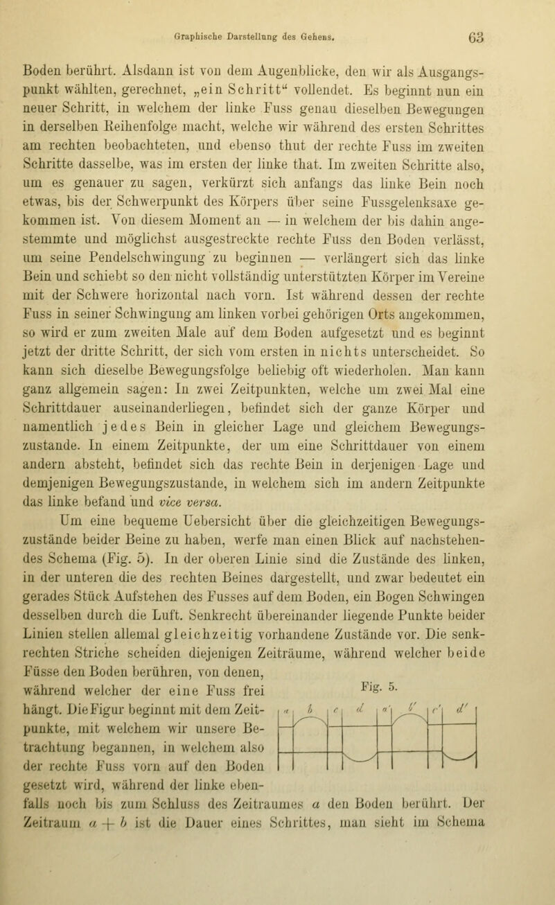 Graphische Darstellung des Gehess. Boden berührt. Alsdann ist von dem Augenblicke, den wir als Ausgangs- punkt wählten, gerechnet, „ein Schritt vollendet. Es beginnt nun ein neuer Schritt, in welchem der linke Fuss genau dieselben Bewegungen in derselben Eeihenfolge macht, welche wir während des ersten Schrittes am rechten beobachteten, und ebenso thut der rechte Fuss im zweiten Schritte dasselbe, was im ersten der linke that. Im zweiten Schritte also, um es genauer zu sagen, verkürzt sich anfangs das linke Bein noch etwas, bis der Schwerpunkt des Körpers über seine Fussgelenksaxe ge- kommen ist. Von diesem Moment an — in welchem der bis dahin ange- stemmte und möglichst ausgestreckte rechte Fuss den Boden verlässt, um seine Pendelschwingung zu beginnen — verlängert sich das linke Bein und schiebt so den nicht vollständig unterstützten Körper im Vereine mit der Schwere horizontal nach vorn. Ist während dessen der rechte Fuss in seiner Schwingung am linken vorbei gehörigen Orts angekommen, so wird er zum zweiten Male auf dem Boden aufgesetzt und es beginnt jetzt der dritte Schritt, der sich vom ersten in nichts unterscheidet. So kann sich dieselbe Bewegungsfolge beliebig oft wiederholen. Man kann ganz allgemein sagen: In zwei Zeitpunkten, welche um zwei Mal eine Schrittdauer auseinanderliegen, befindet sich der ganze Körper und namentlich jedes Bein in gleicher Lage und gleichem Bewegungs- zustande. In einem Zeitpunkte, der um eine Schrittdauer von einem andern absteht, befindet sich das rechte Bein in derjenigen Lage und demjenigen Bewegungszustande, in welchem sich im andern Zeitpunkte das linke befand und vice versa. Um eine bequeme Uebersicht über die gleichzeitigen Bewegungs- zustände beider Beine zu haben, werfe man einen Blick auf nachstehen- des Schema (Fig. 5). In der oberen Linie sind die Zustände des linken, in der unteren die des rechten Beines dargestellt, und zwar bedeutet ein gerades Stück Aufstehen des Fusses auf dem Boden, ein Bogen Schwingen desselben durch die Luft, Senkrecht übereinander liegende Punkte beider Linien stellen allemal gleichzeitig vorhandene Zustände vor. Die senk- rechten Striche scheiden diejenigen Zeiträume, während welcher beide Füsse den Boden berühren, von denen, während welcher der eine Fuss frei hängt. Die Figur beginnt mit dem Zeit- punkte, mit welchem wir unsere Be- trachtung begannen, in welchem also der rechte Fuss vorn auf den Boden gesetzt wird, während der linke eben- falls noch bis zum Schluss des Zeitraumes a den Boden berührt. Uer Zeitraum a -f h ist die Dauer eines Schrittes, man sieht im Schema Fig. 5. — /; r d ri' 1/ (•' d' V / ^