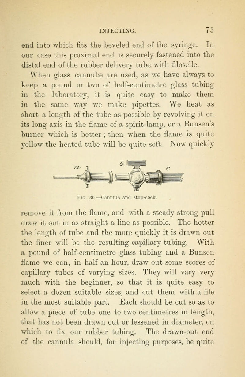 end into which fits the beveled end of the syringe. In our case this proximal end is securely fastened into the distal end of the rubber delivery tube with filoselle. When glass cannulas are used, as we have always to keep a pound or two of half-centimetre glass tubing in the laboratory, it is quite easy to make them in the same way we make pipettes. We heat as short a length of the tube as possible by revolving it on its long axis in the flame of a spirit-lamp, or a Bun sen's burner which is better; then when the flame is quite yellow the heated tube will be quite soft. Now quickly f Fig. 36.—Cannula and stop-cock. remove it from the flame, and with a steady strong pull draw it out in as straight a line as possible. The hotter the length of tube and the more quickly it is drawn out the finer will be the resulting capillary tubing. With a pound of half-centimetre glass tubing and a Bunsen flame we can, in half an hour, draw out some scores of capillary tubes of varying sizes. They will vary very much with the beginner, so that it is quite easy to select a dozen suitable sizes, and cut them with a file in the most suitable part. Each should be cut so as to allow a piece of tube one to two centimetres in length, that has not been drawn out or lessened in diameter, on which to fix our rubber tubing. The drawn-out end of the cannula should, for injecting purposes, be quite