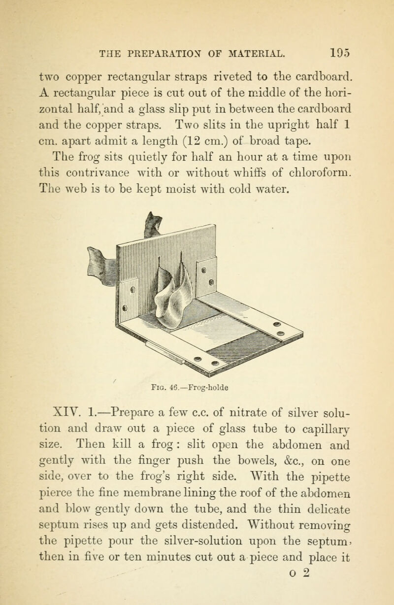 two copper rectangular straps riveted to the cardboard. A rectangular j)iece is cut out of the middle of the hori- zontal half, and a glass slip put in between the cardboard and the copper straps. Two slits in the upright half 1 cm. apart admit a length (12 cm.) of broad tape. The frog sits quietly for half an hour at a time upon this contrivance with or without whiffs of chloroform. The web is to be kept moist with cold water. Fig. 46.— Frog-holde XIV. 1.—Prepare a few c.c. of nitrate of silver solu- tion and draw out a piece of glass tube to capillary size. Then kill a frog : slit open the abdomen and gently with the finger push the bowels, &c, on one side, over to the frog's right side. With the pipette pierce the fine membrane lining the roof of the abdomen and blow gently down the tube, and the thin delicate septum rises up and gets distended. Without removing the pipette pour the silver-solution upon the septum > then in five or ten minutes cut out a piece and place it o 2