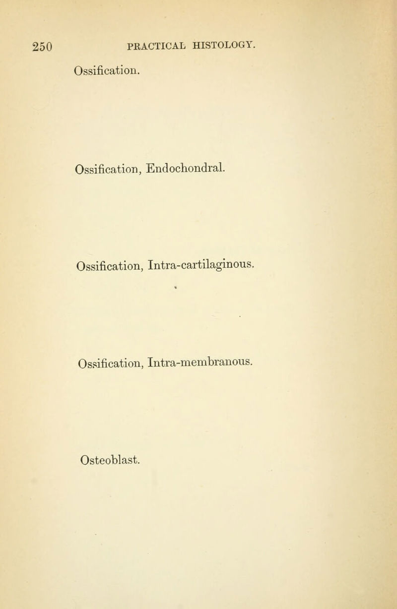 Ossification. Ossification, Endochondral. Ossification, Intra-cartilaginous. Ossification, Intra-membranous. Osteoblast.