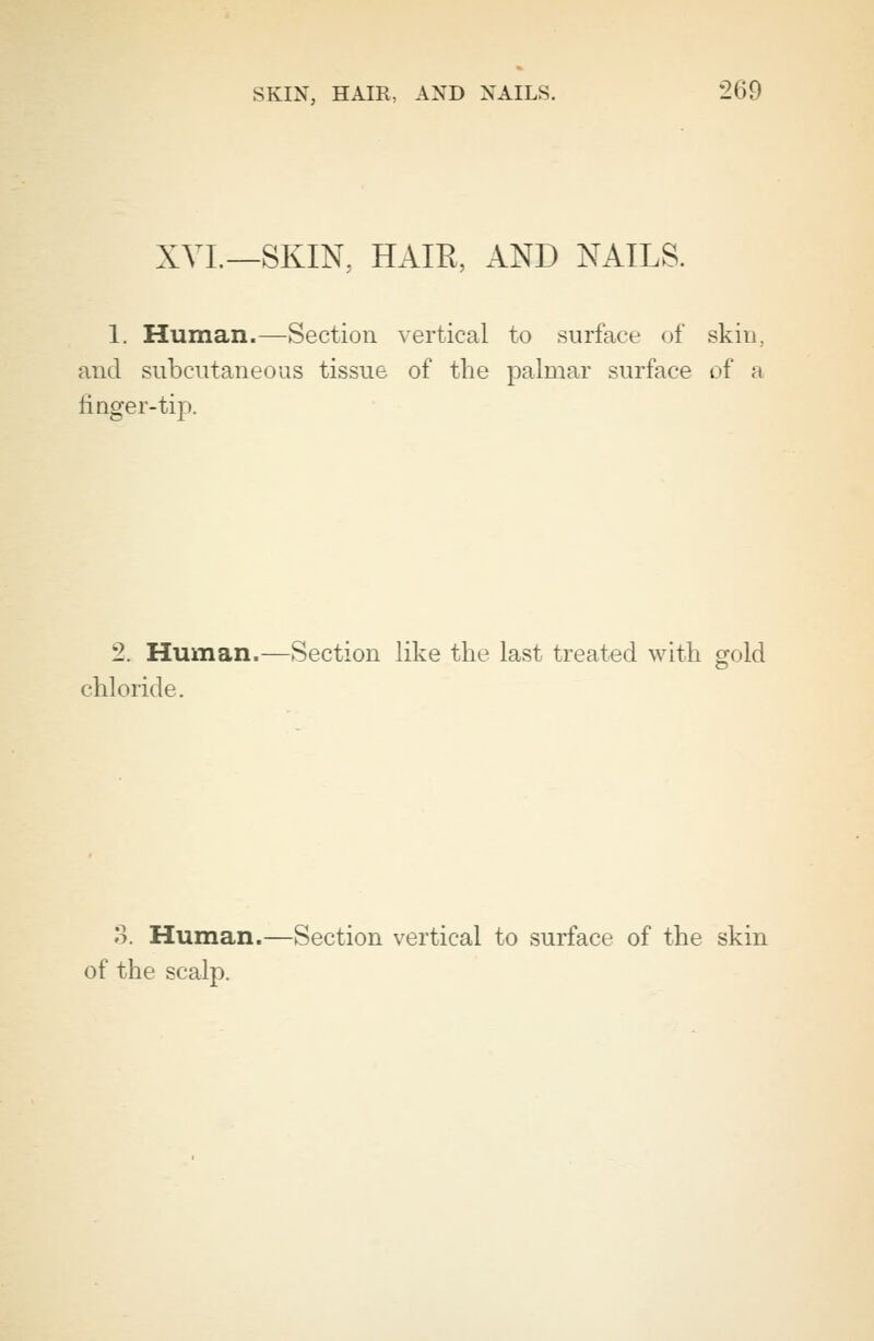 XVI.—SKIN, HAIR, AND NAILS. 1. Human.—Section vertical to surface of skin, and subcutaneous tissue of the palmar surface of a finger-tip. 2. Human.—Section like the last treated with gold chloride. 3. Human.—Section vertical to surface of the skin of the scalp.