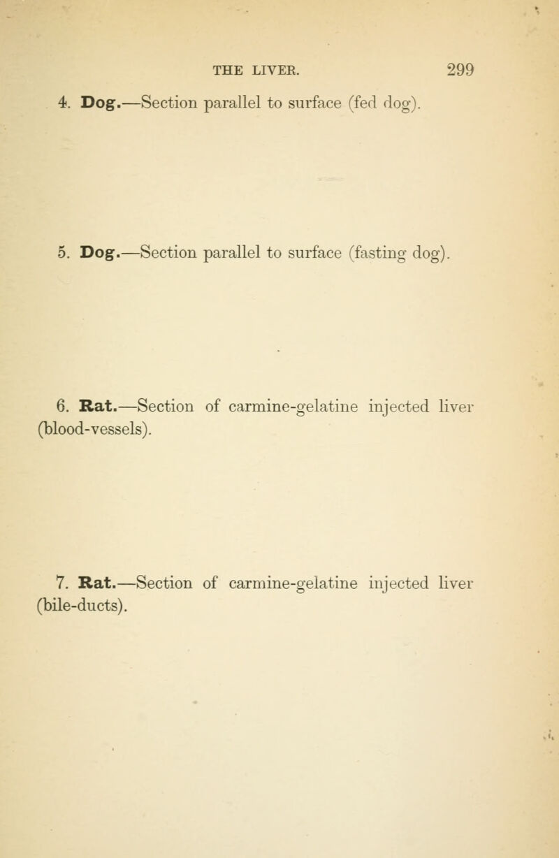 4. Dog.—Section parallel to surface (fed dog). 5. Dog.—Section parallel to surface (fasting dog). 6. Rat.—Section of carmine-gelatine injected liver (blood-vessels). 7. Rat.—Section of carmine-gelatine injected liver (bile-ducts).