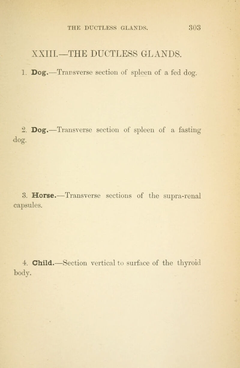 XXIIL—THE DUCTLESS GLANDS. 1. Dog.—Transverse section of spleen of a fed dog. 2. Dog.—Transverse section of spleen of a fasting dog. 3. Horse.—Transverse sections of the supra-renal capsules. 4. Child.—Section vertical to surface of the thyroid body.