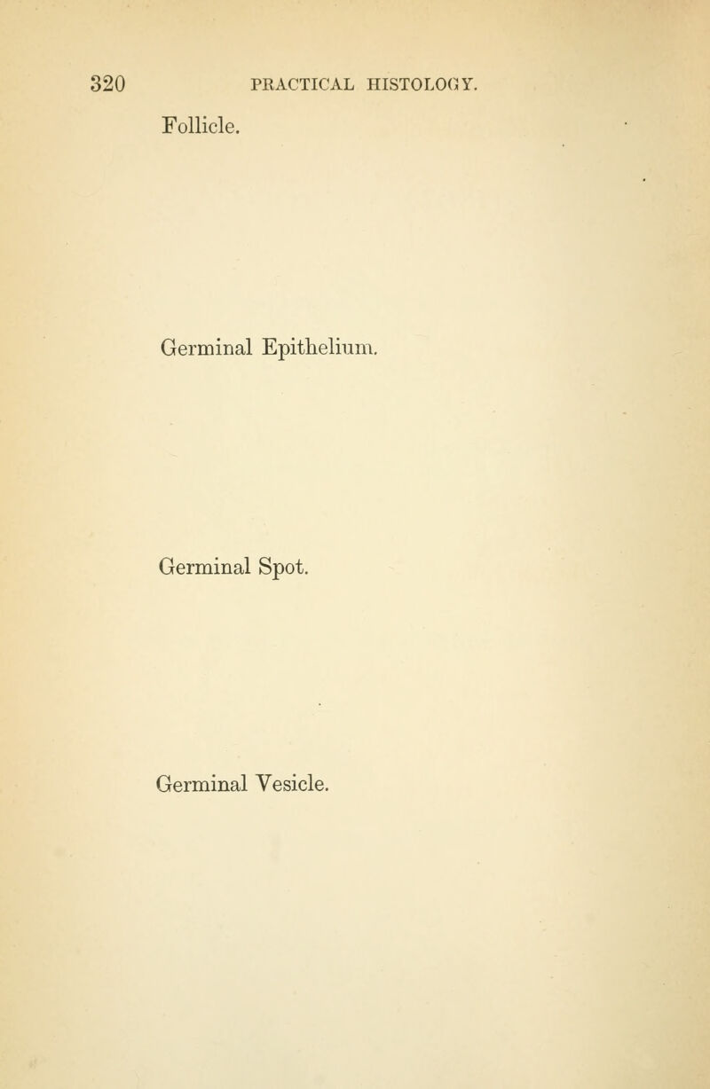 Follicle. Germinal Epithelium. Germinal Spot. Germinal Vesicle.