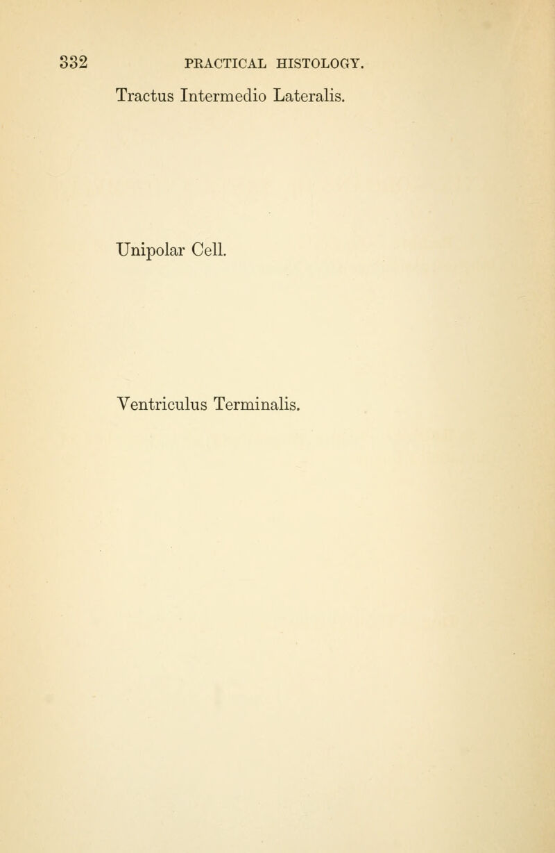 Tractus Intermedio Lateralis. Unipolar Cell. Ventriculus Terminalis.