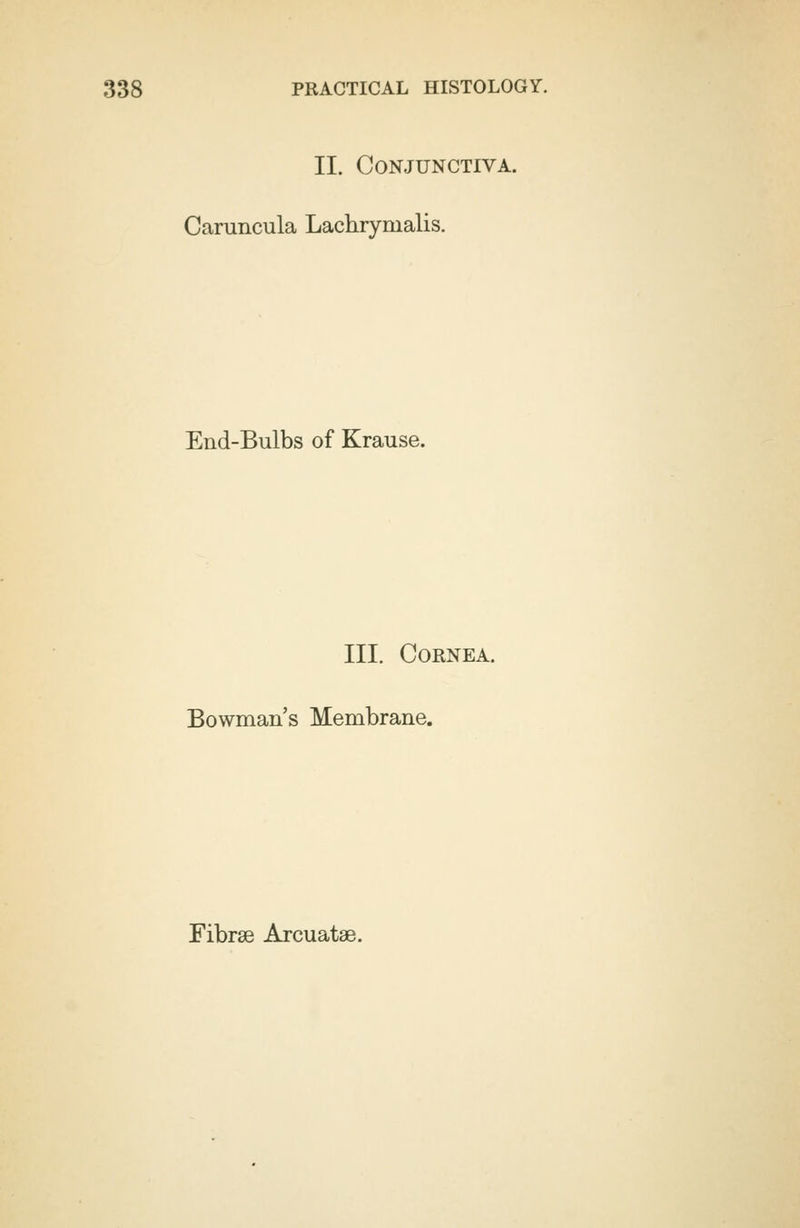 II. Conjunctiva. Caruncula Lachryrnalis. End-Bulbs of Krause. III. Cornea. Bowman's Membrane. Fibrse Arcuatae.