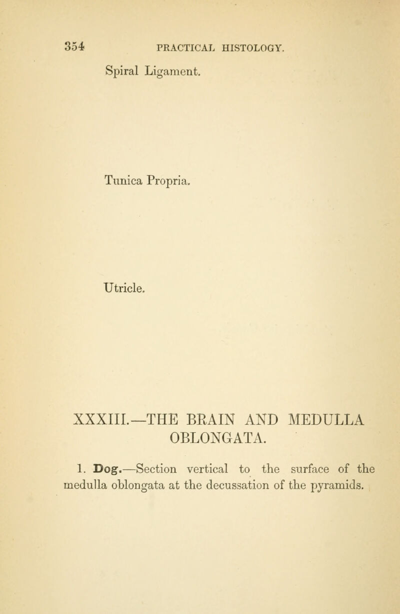 Spiral Ligament. Tunica Propria. Utricle. XXXIII.—THE BEAIN AND MEDULLA OBLONGATA. 1. Dog.—Section vertical to the surface of the medulla oblongata at the decussation of the pyramids.