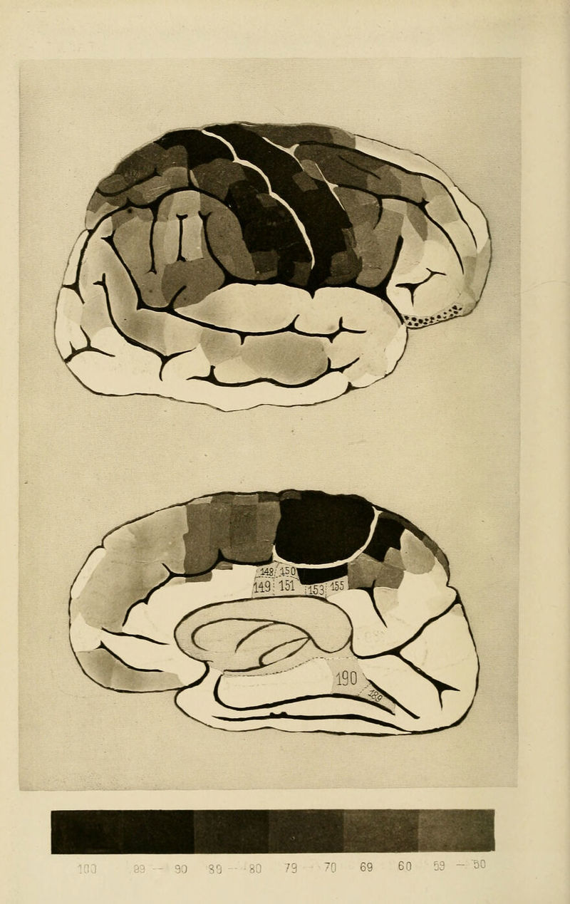 90 S9 - 80 79 70 69 60 59 - ÖO