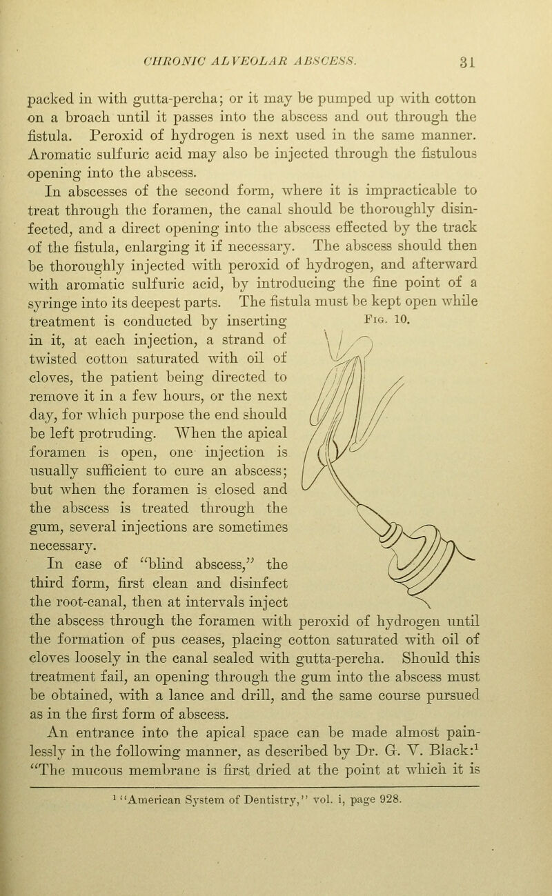 packed in with gutta-percha; or it may be pumped up with cotton on a broach until it passes into the abscess and out through the fistula. Peroxid of hydrogen is next used in the same manner. Aromatic sulfuric acid may also be injected through the fistulous opening into the abscess. In abscesses of the second form, where it is impracticable to treat through the foramen, the canal should be thoroughly disin- fected, and a direct opening into the abscess effected by the track of the fistula, enlarging it if necessary. The abscess should then be thoroughly injected with peroxid of hydrogen, and afterward Avith aromatic sulfuric acid, by introducing the fine point of a syringe into its deepest parts. The fistula must be kept open while treatment is conducted by inserting Fig. 10. in it, at each injection, a strand of twisted cotton saturated with oil of cloves, the patient being directed to remove it in a few hours, or the next day, for which purpose the end should be left protruding. When the apical foramen is open, one injection is usually sufiicient to cure an abscess; but when the foramen is closed and the abscess is treated through the gum, several injections are sometimes necessary. In case of blind abscess, the third form, first clean and disinfect the root-canal, then at intervals inject the abscess through the foramen with peroxid of hydrogen until the formation of pus ceases, placing cotton saturated with oil of cloves loosely in the canal sealed with gutta-percha. Should this treatment fail, an opening through the gum into the abscess must be obtained, with a lance and drill, and the same course pursued as in the first form of abscess. An entrance into the apical space can be made almost pain- lessly in the following manner, as described by Dr. G. Y. Black'.-^ The mucous membrane is first dried at the point at which it is 1 American Sj'stem of Dentistry, vol. i, page 928.